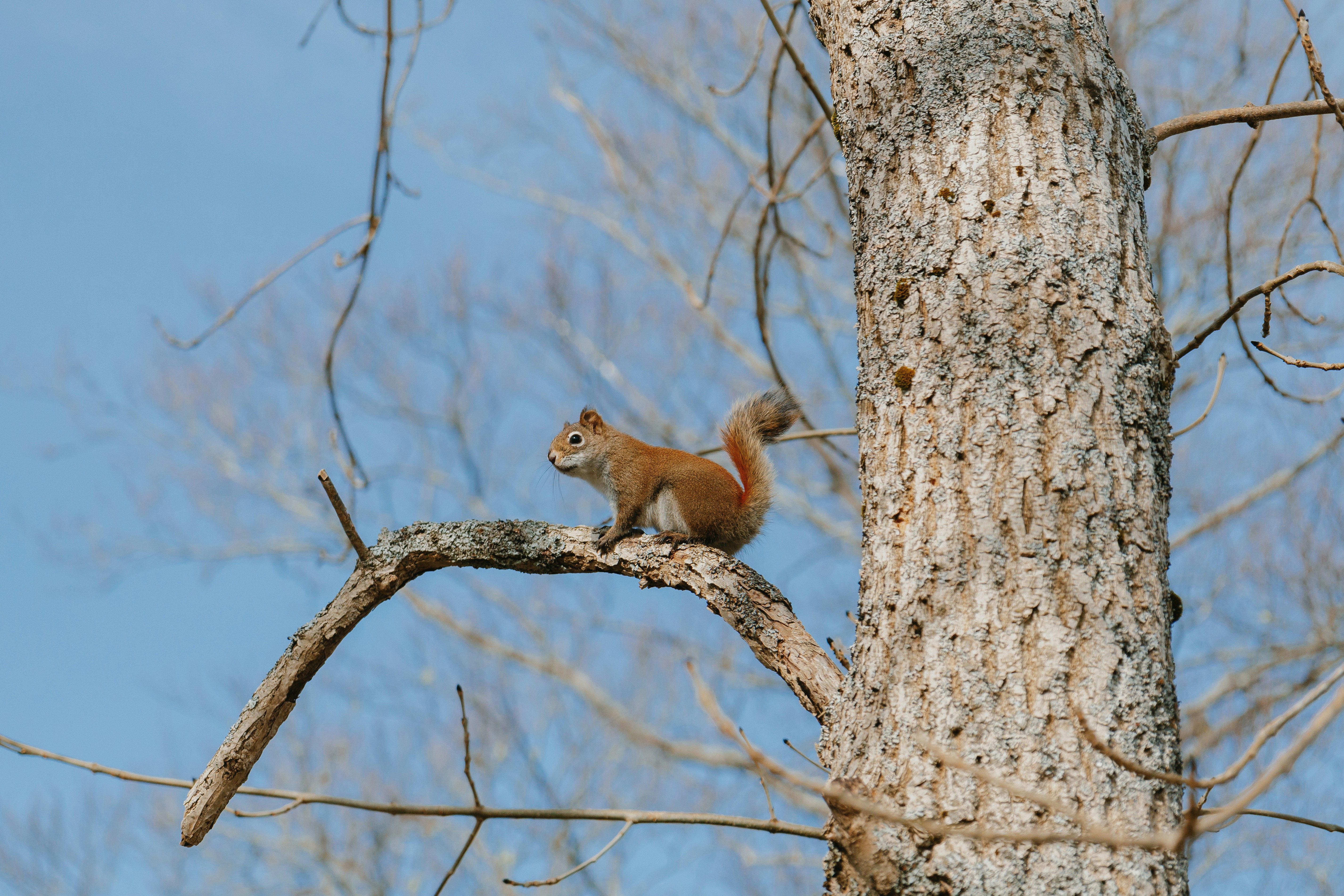 Photo by janwalterluigi