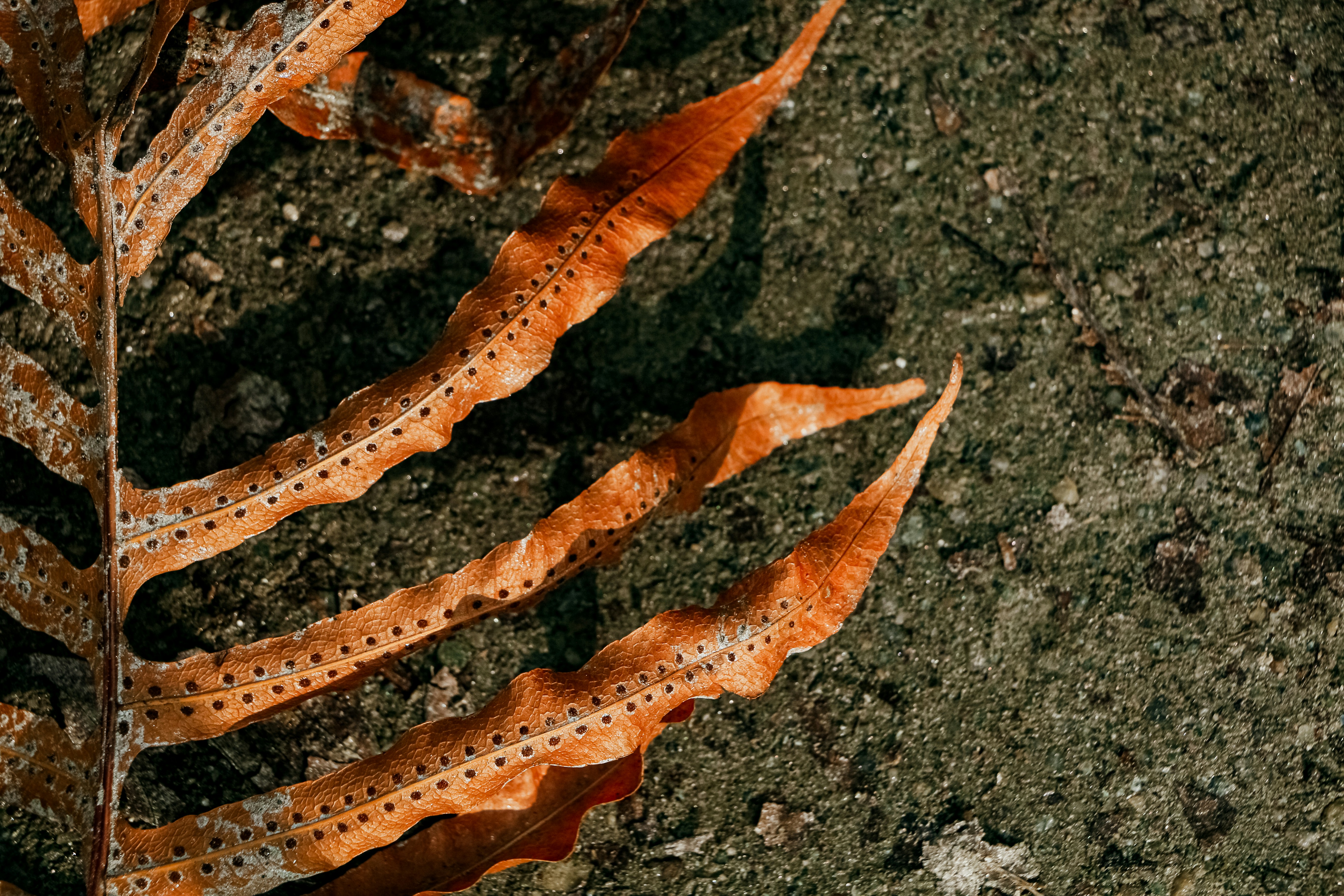 Photo by neha1301039