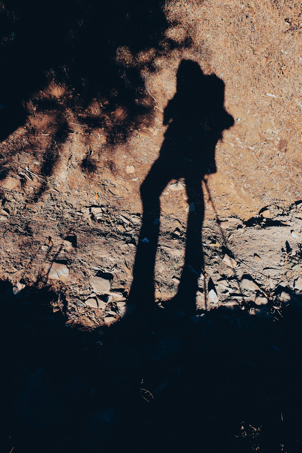 a shadow of a person on a rock