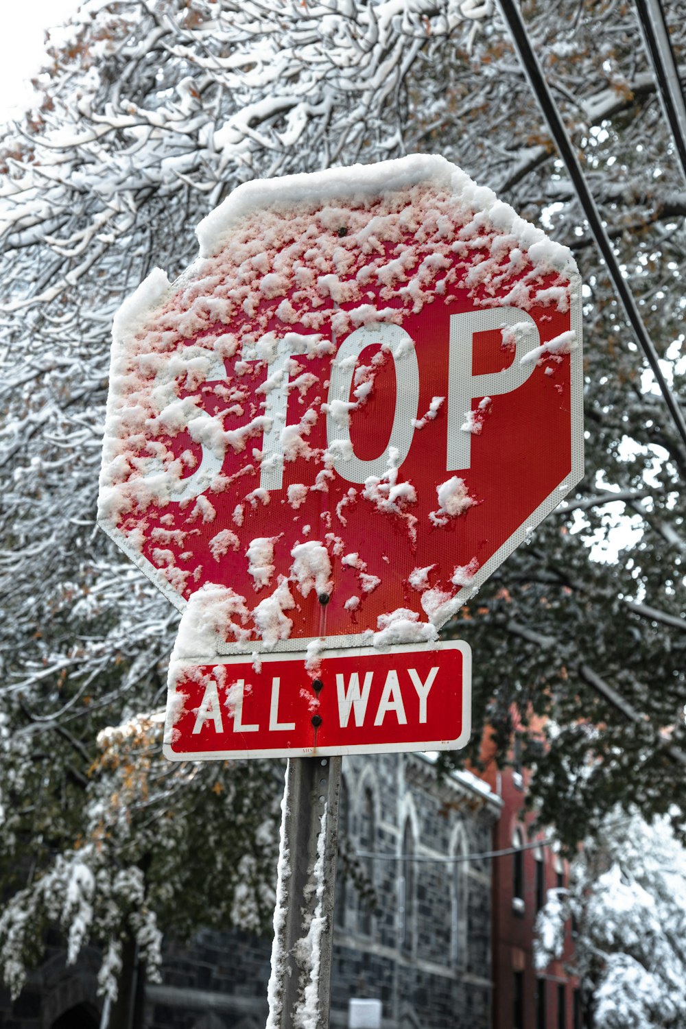 a red stop sign covered in snow next to a tree