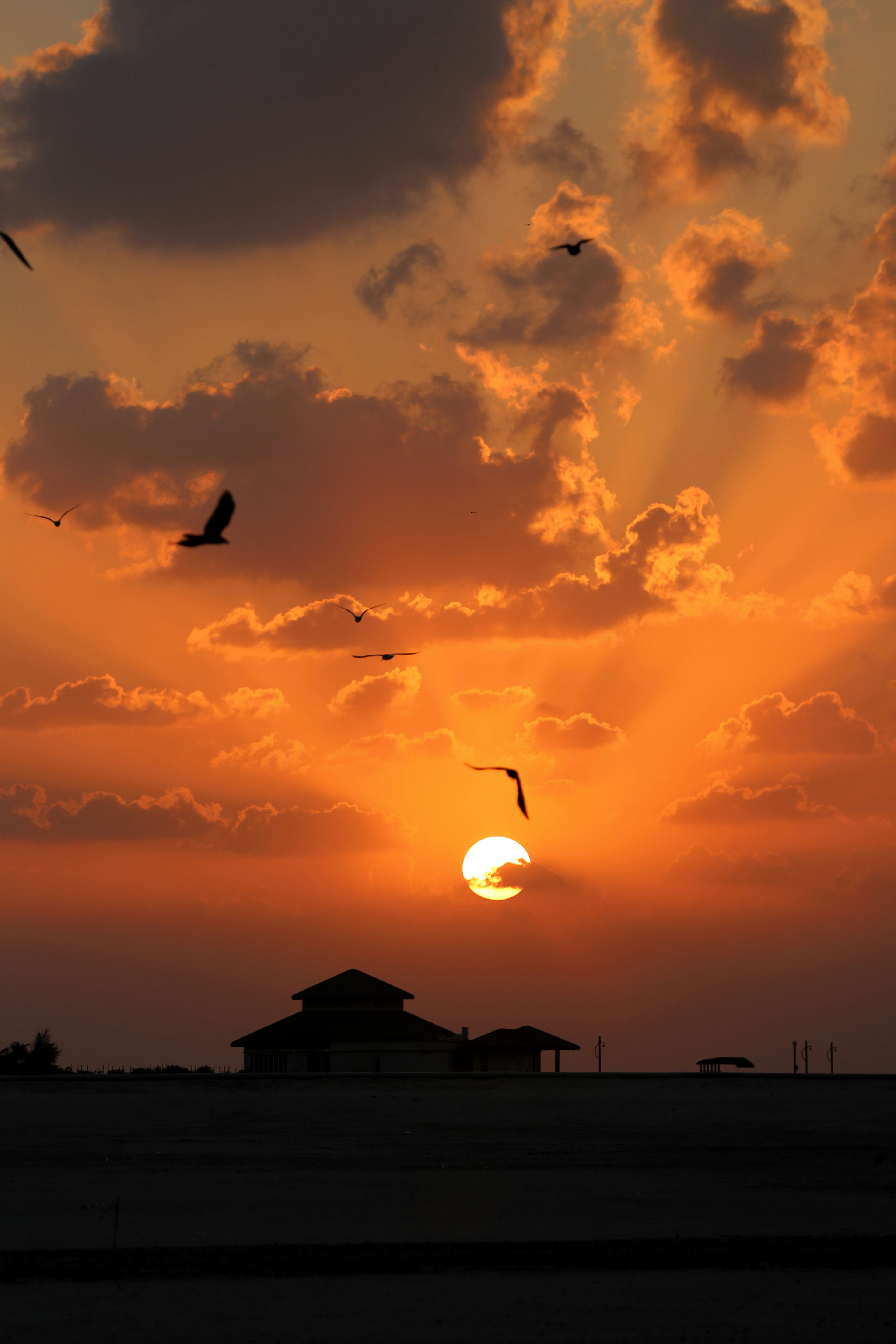 Photo by 3thba