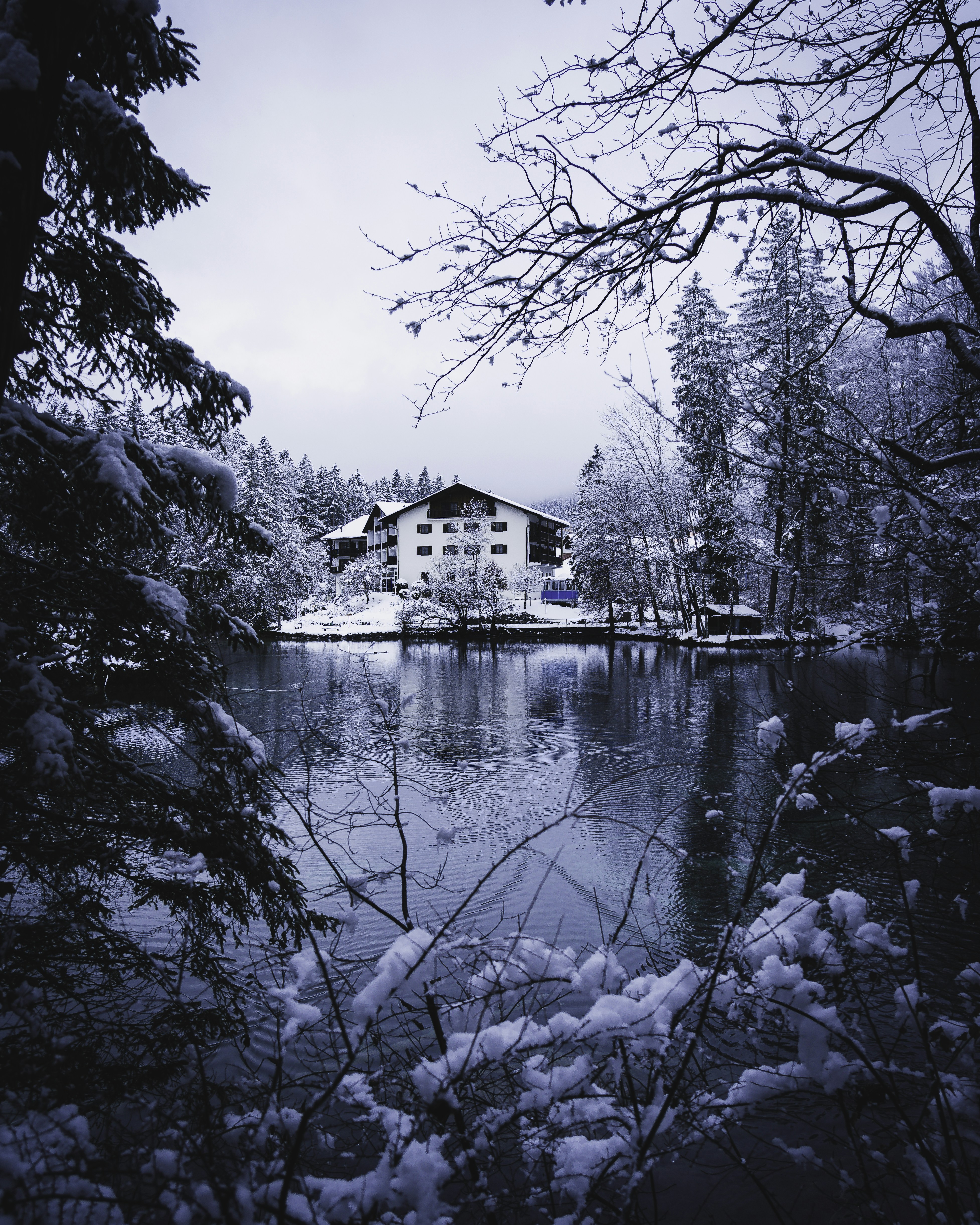 11 Snowflake-Themed Winter Lakehouse Tablescape Tips