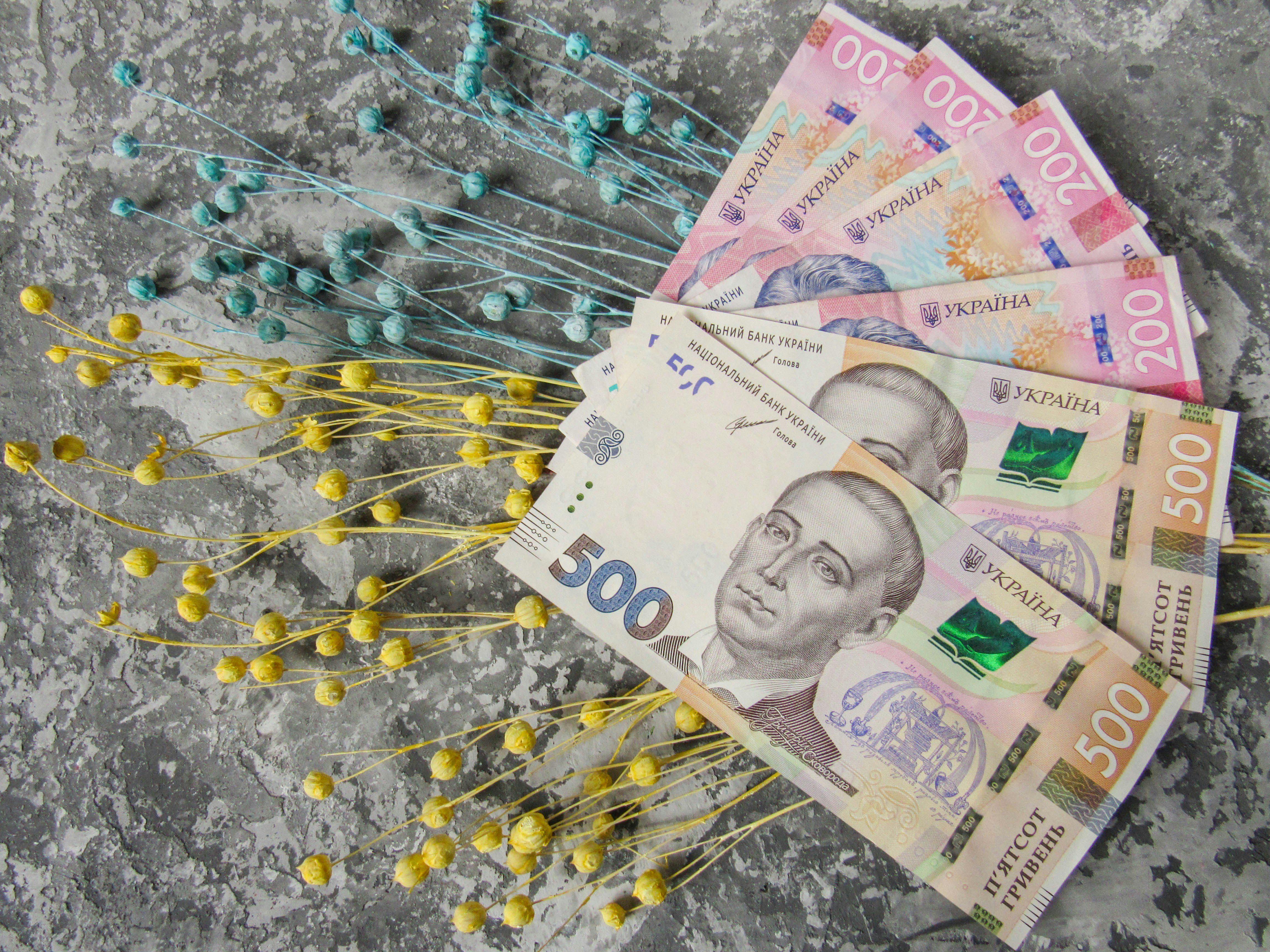 Ukrainian hryvnia money on a gray background