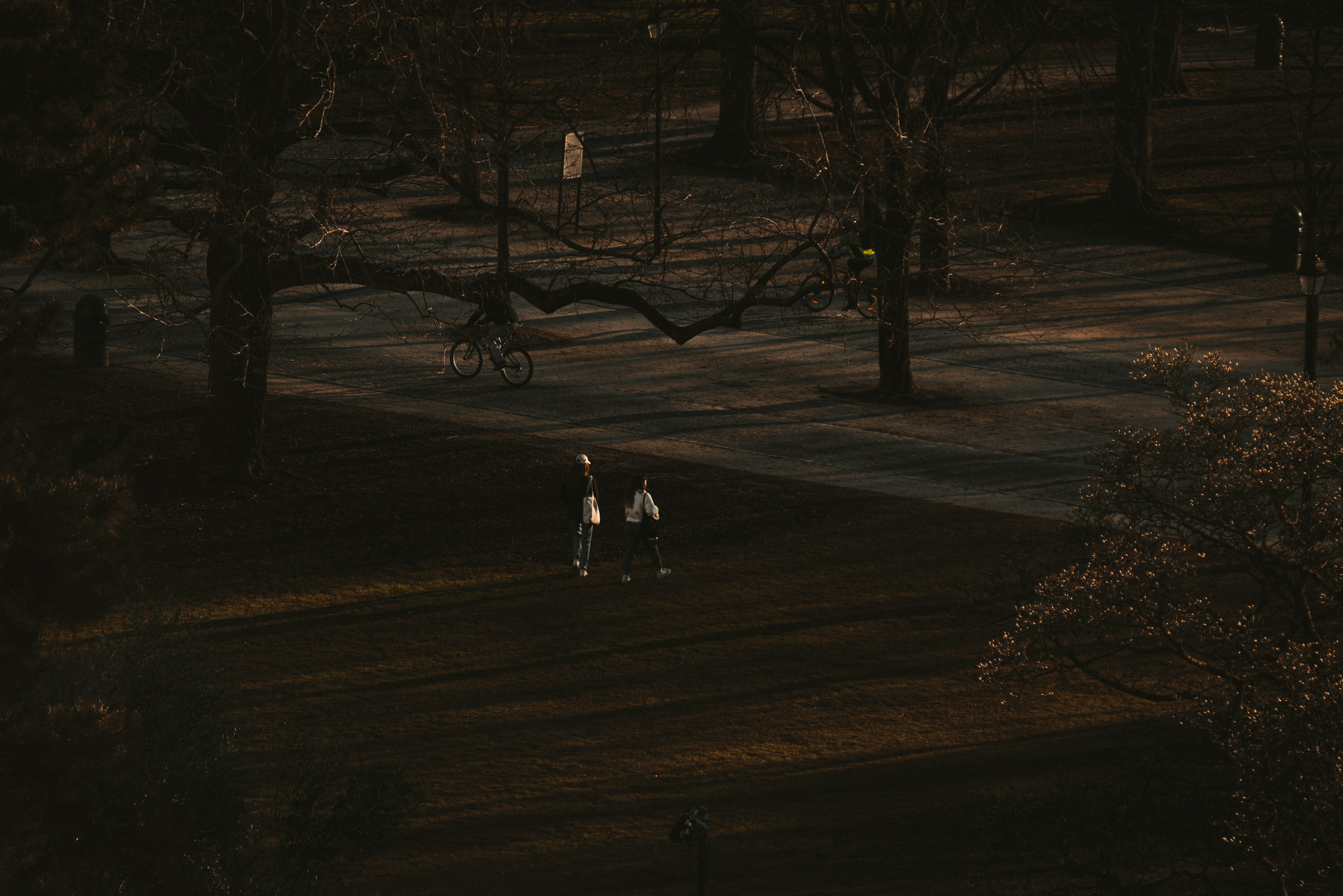 A group of people walking through a park photo – Free Person Image on ...