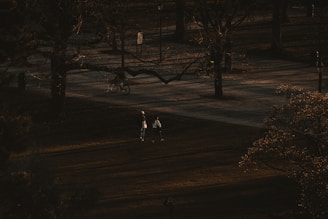 a group of people walking through a park