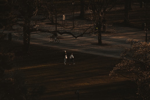 a group of people walking through a park