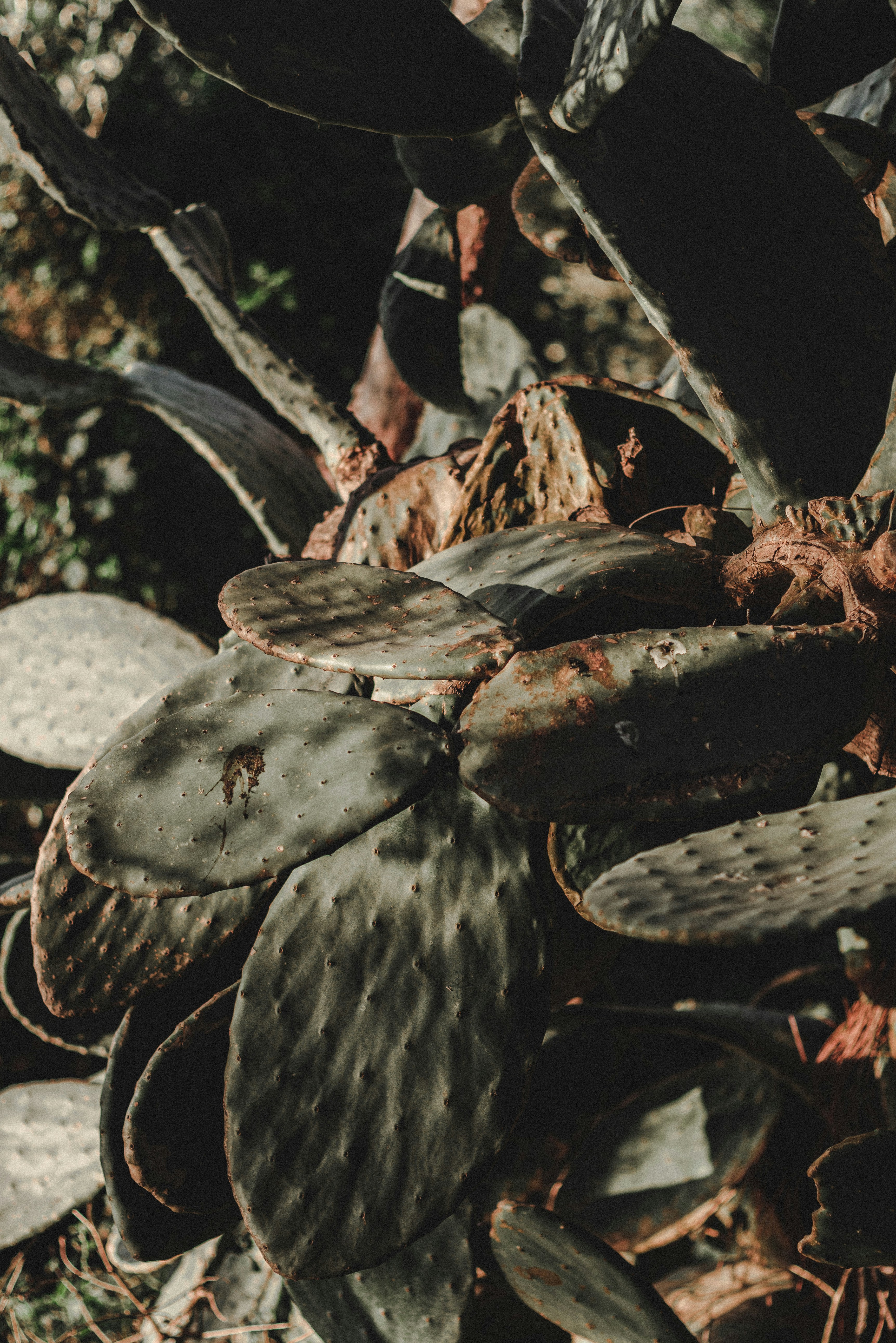 Photo by yigitarisoy