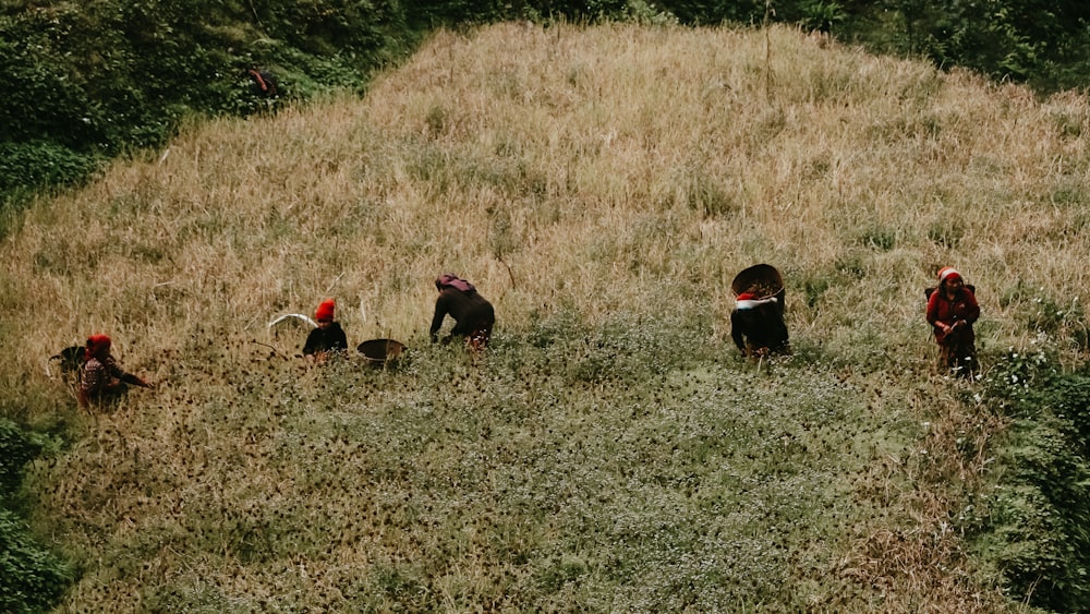 a group of people standing on top of a grass covered hillside