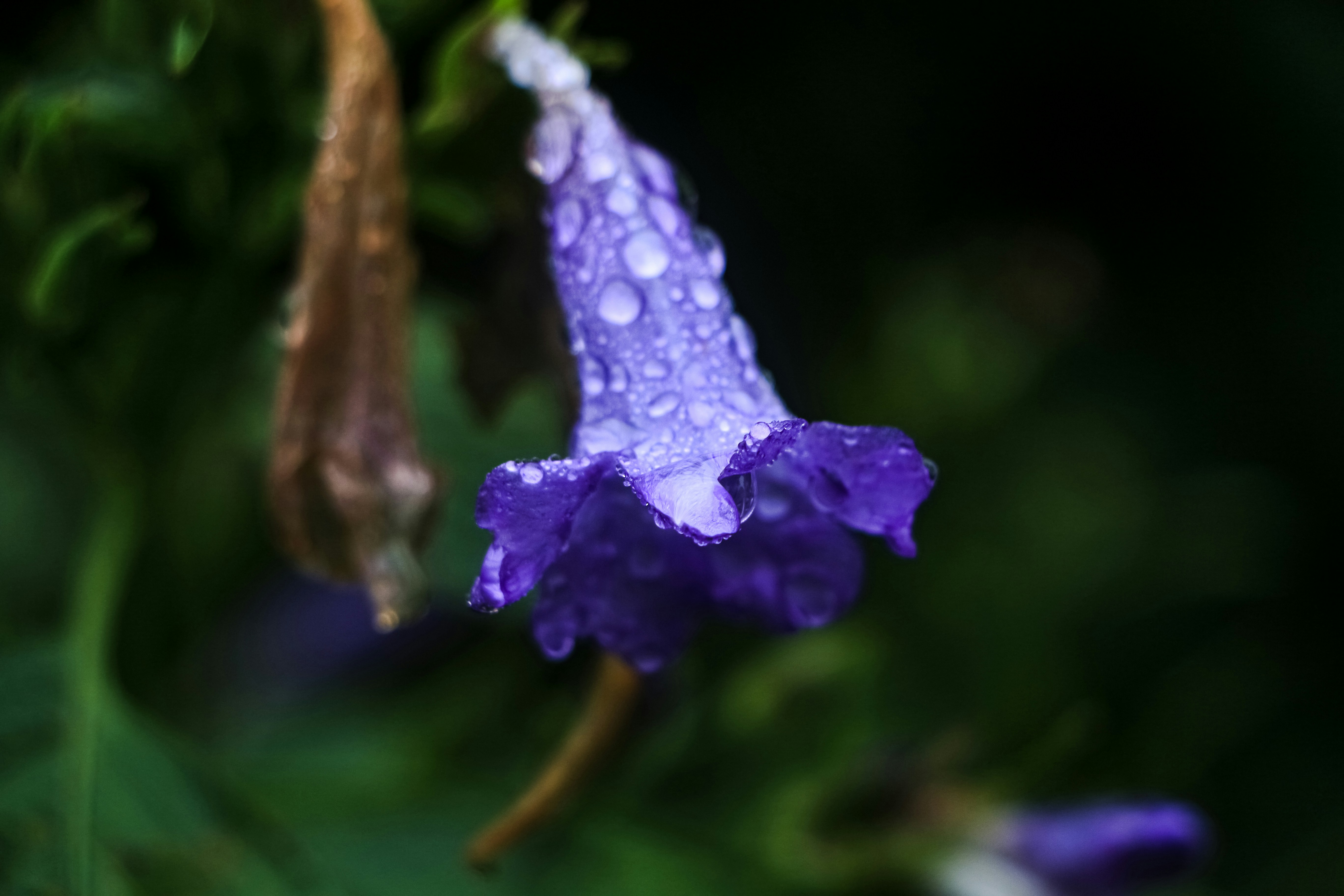 Photo by neha1301039