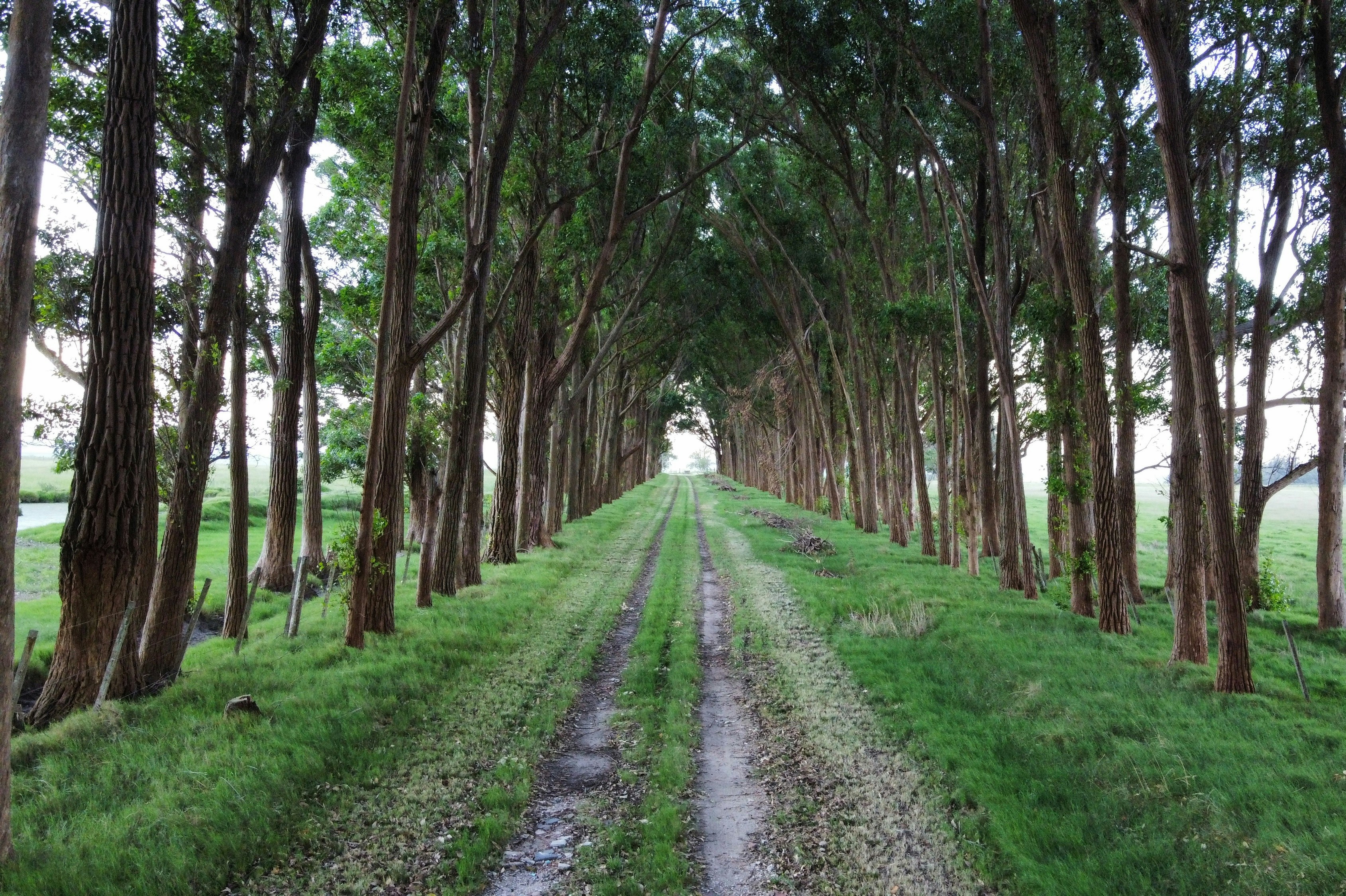 Stay online in the Oceania with a prepaid eSIM from eSIMlii. Instant activation, no roaming charges, and reliable coverage.