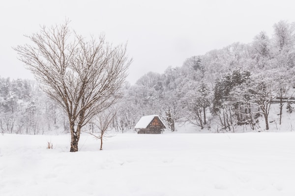 What to see in Gifu: Travel Guide for Exploring the City