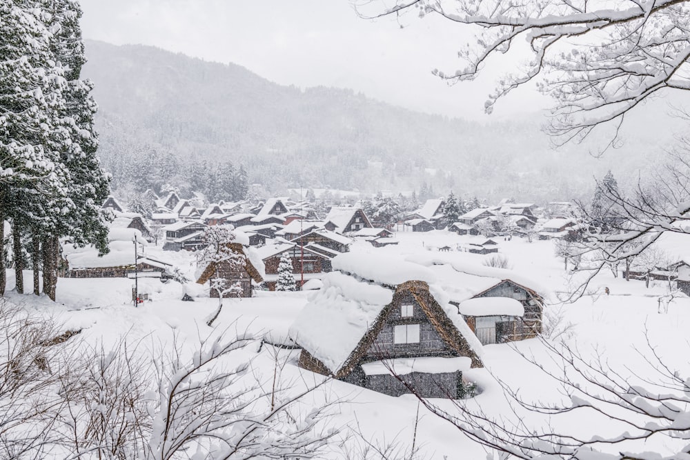a snow covered village in the middle of a forest