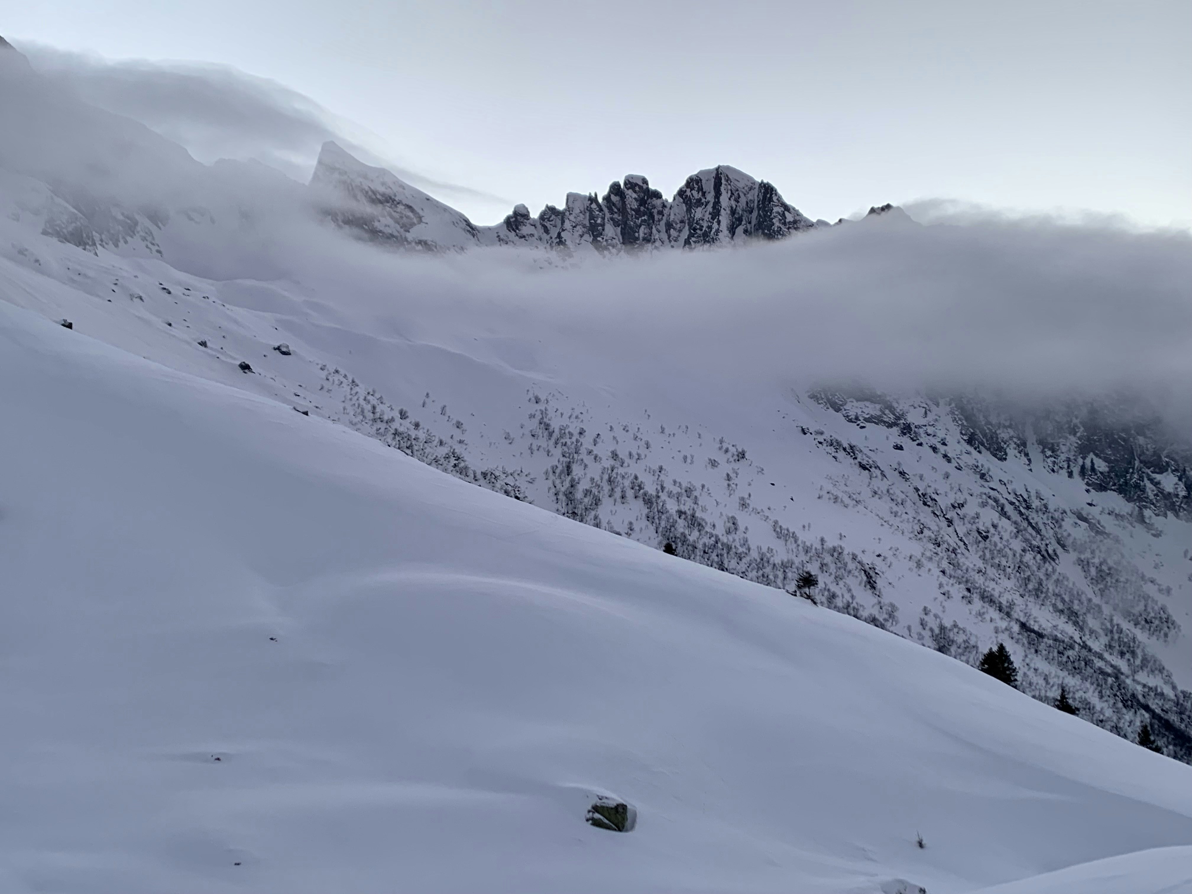 Chalet Harfang des Neiges