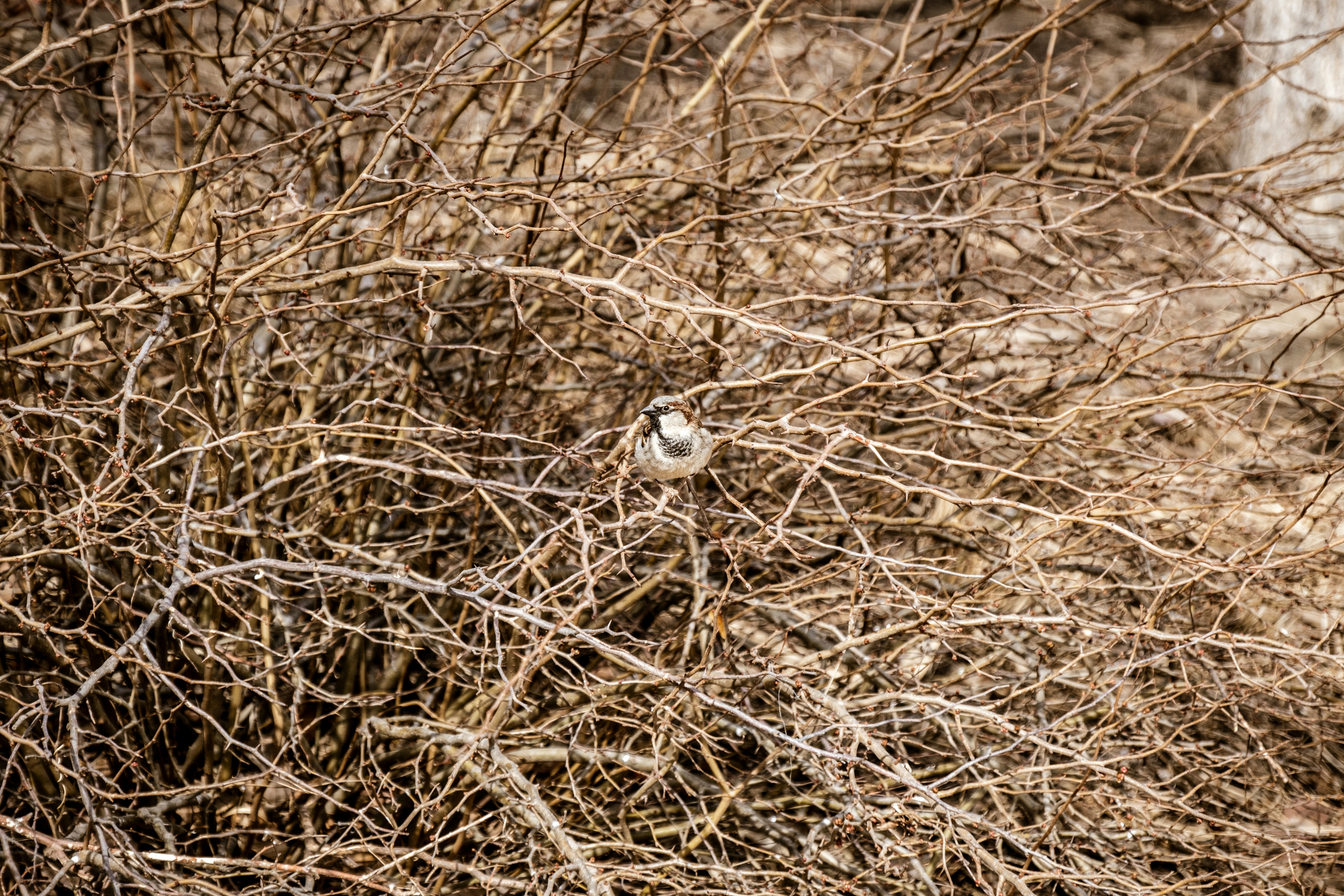 Photo by alanrodriguez