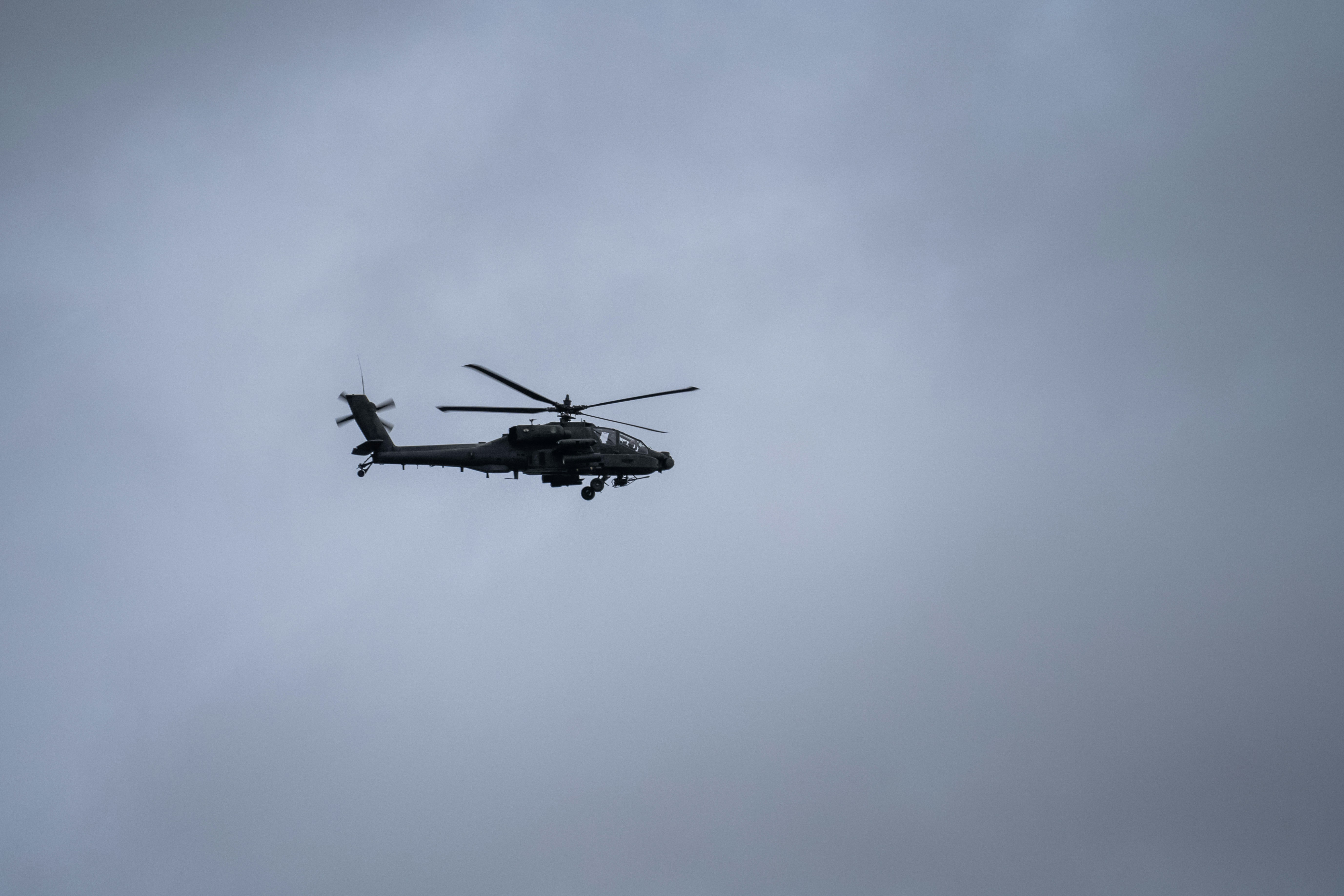 Photo by aronmarinelli