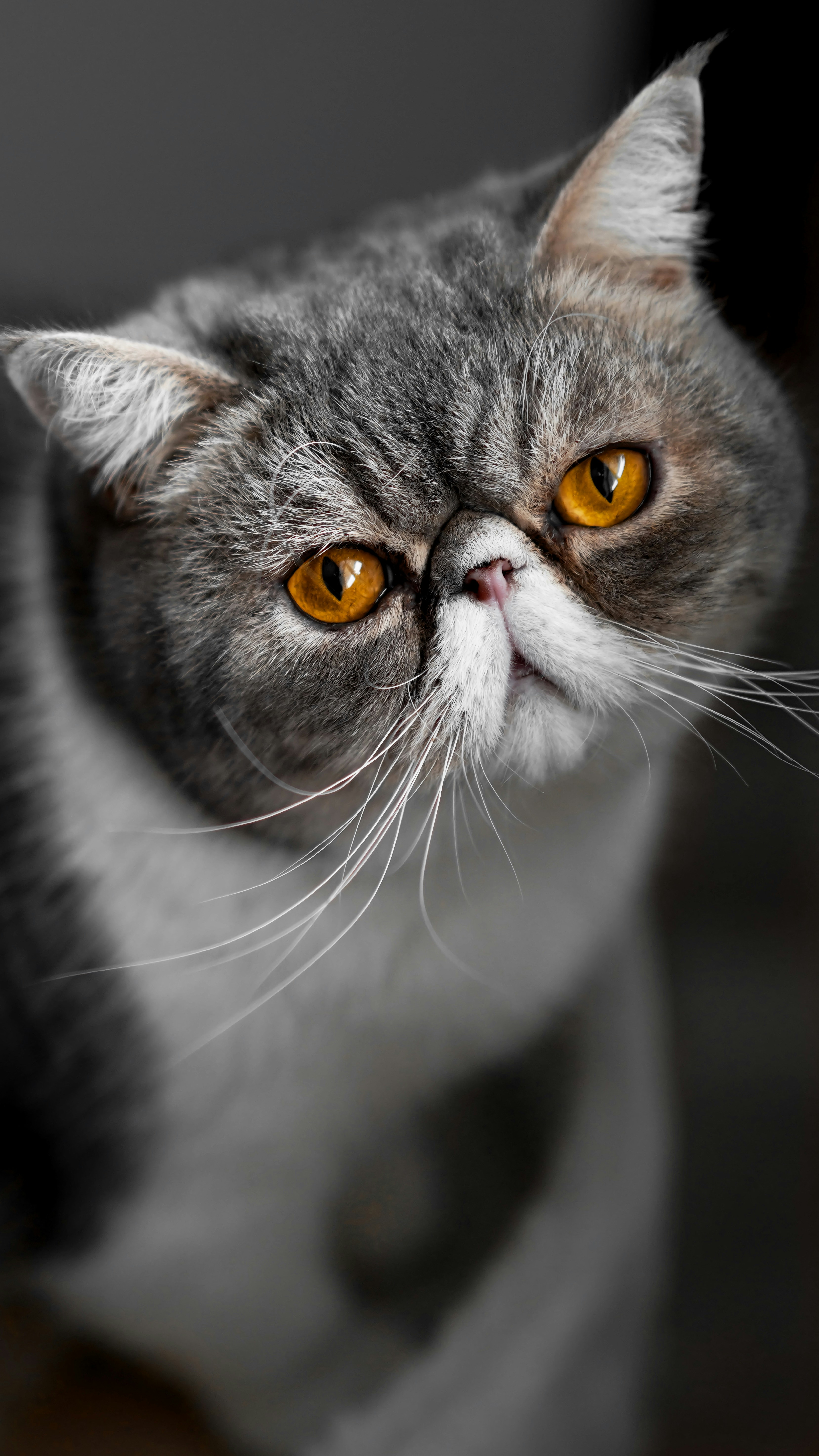 Photo by vasil_korzh