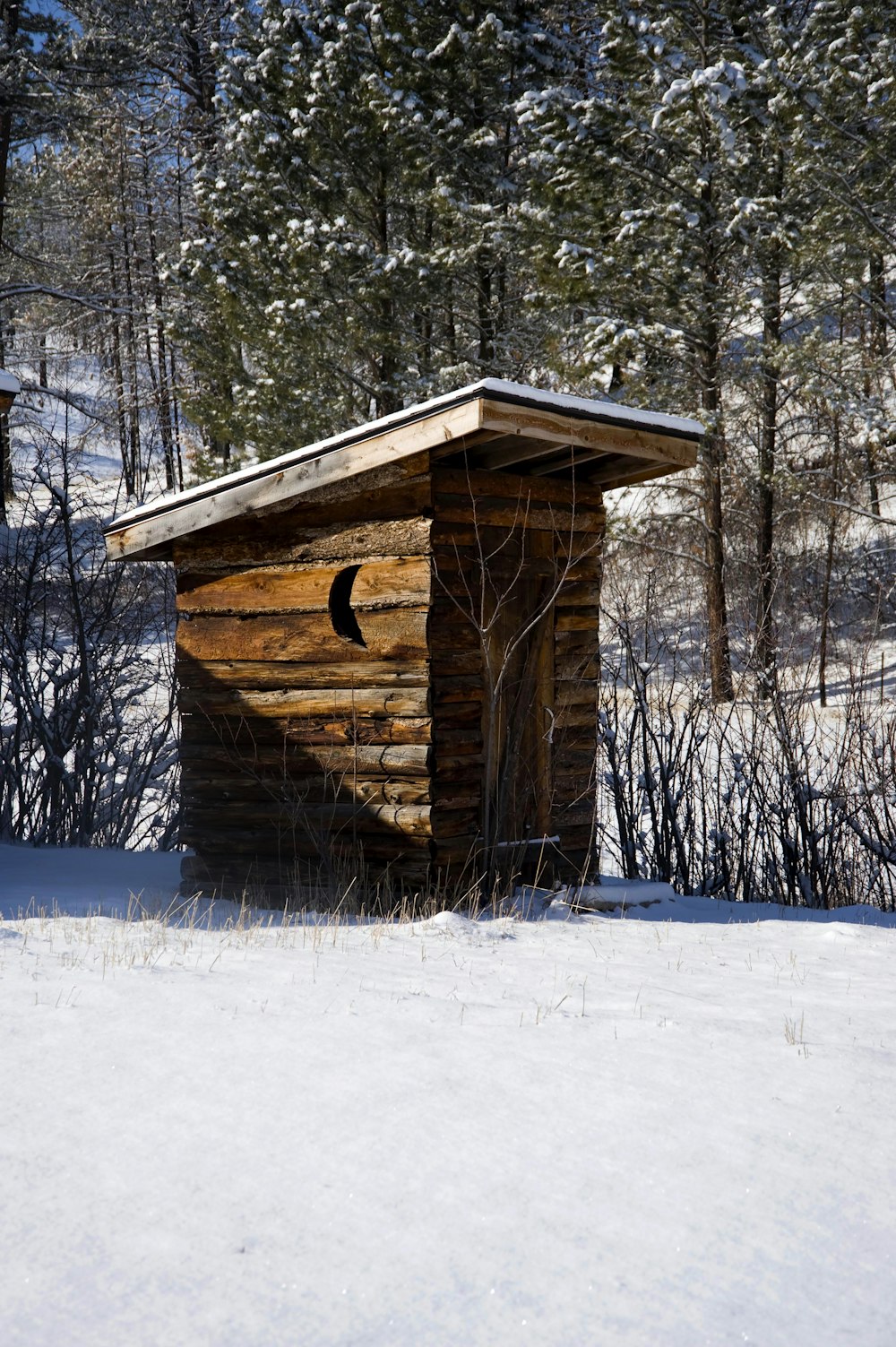 a small log cabin in the middle of a snowy field