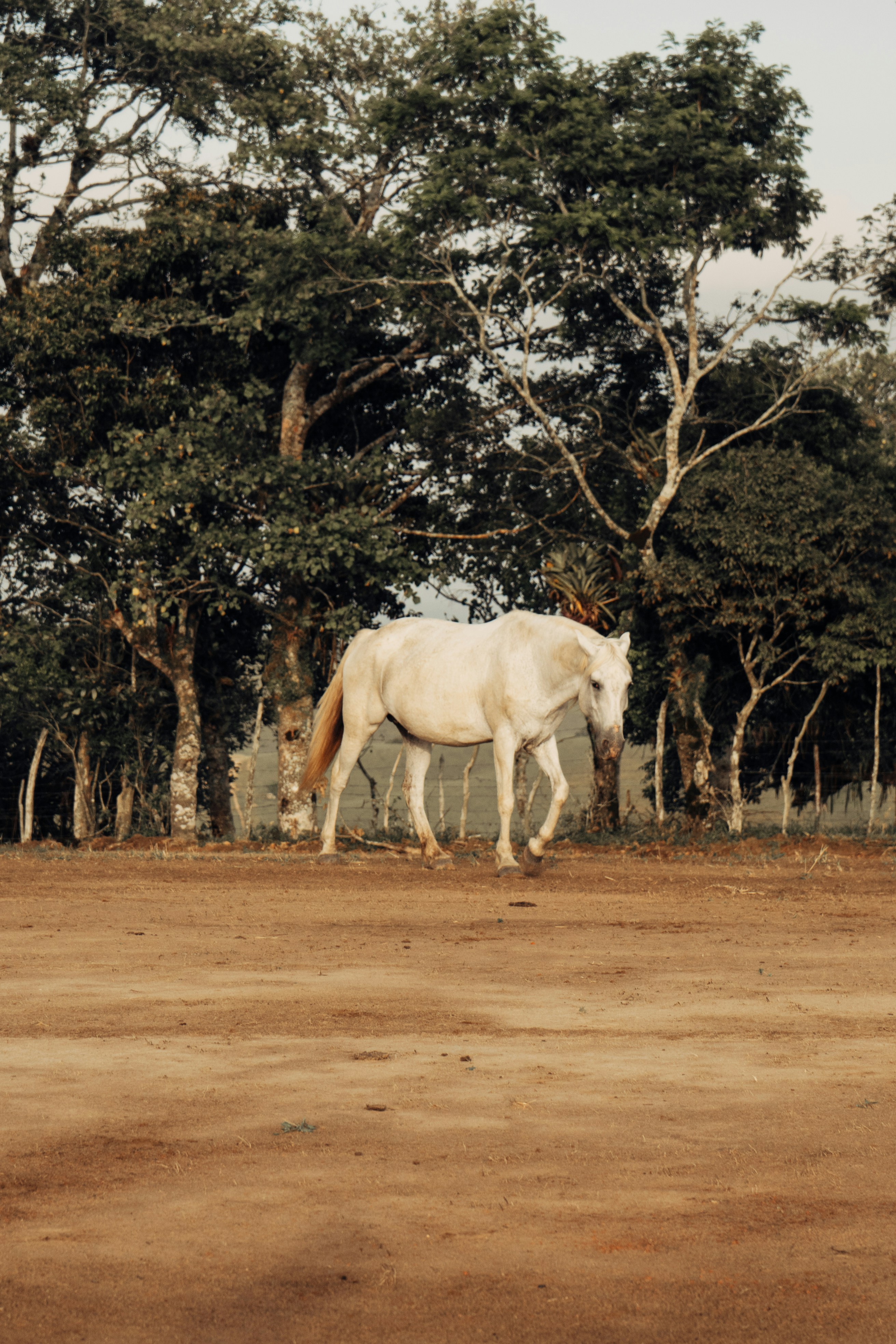 Photo by jefersonsantu