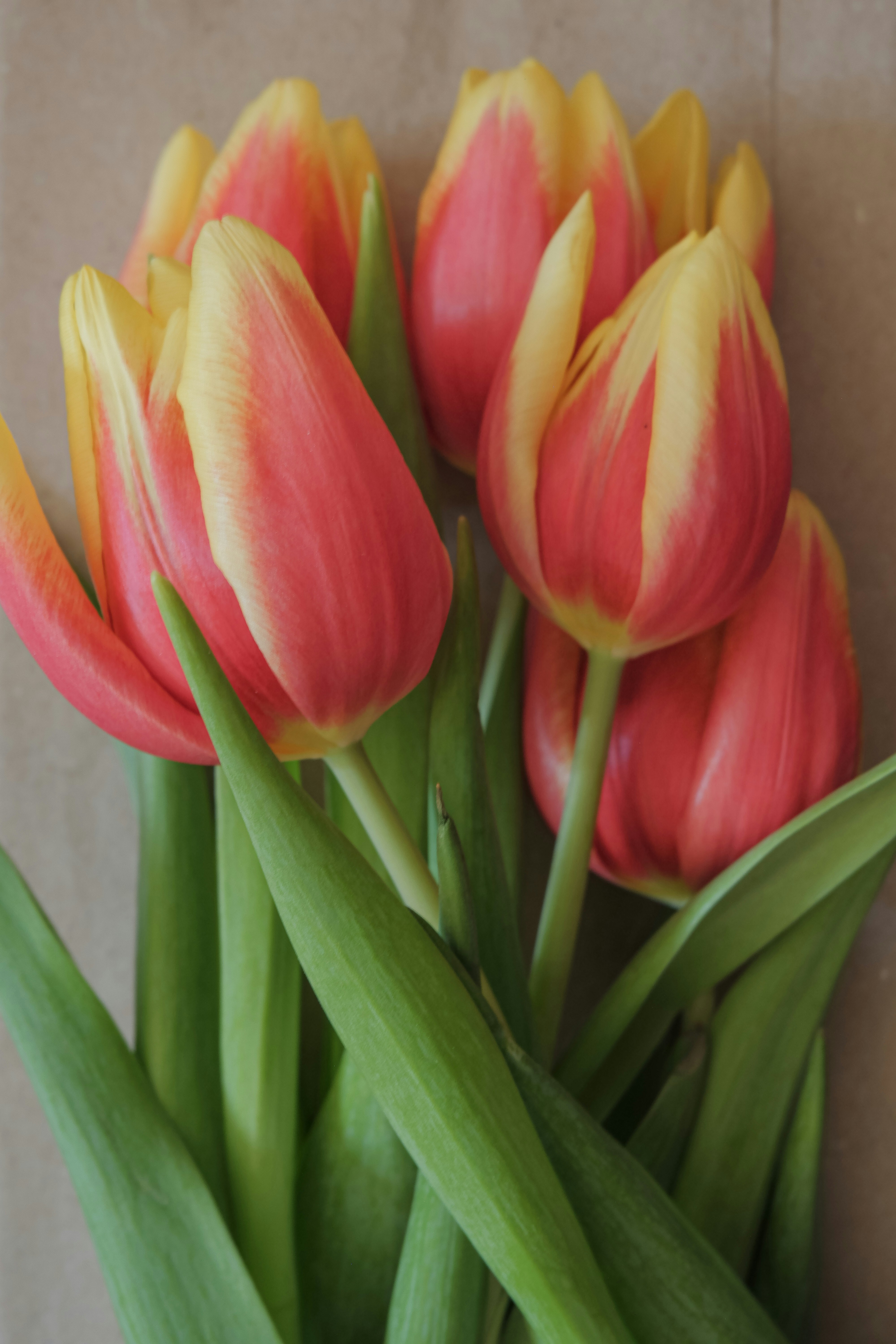 Photo by giulia_bertelli