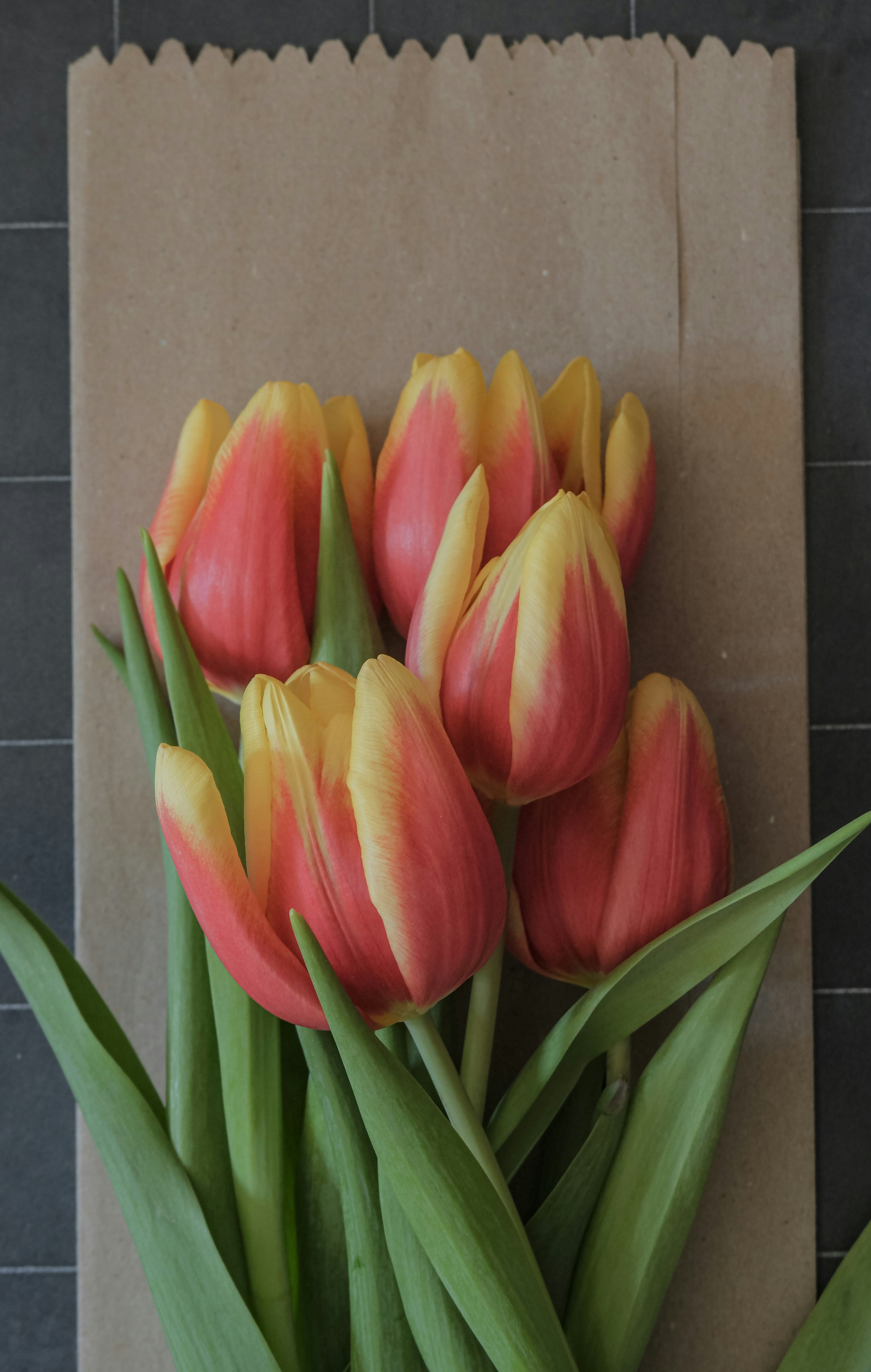 Photo by giulia_bertelli