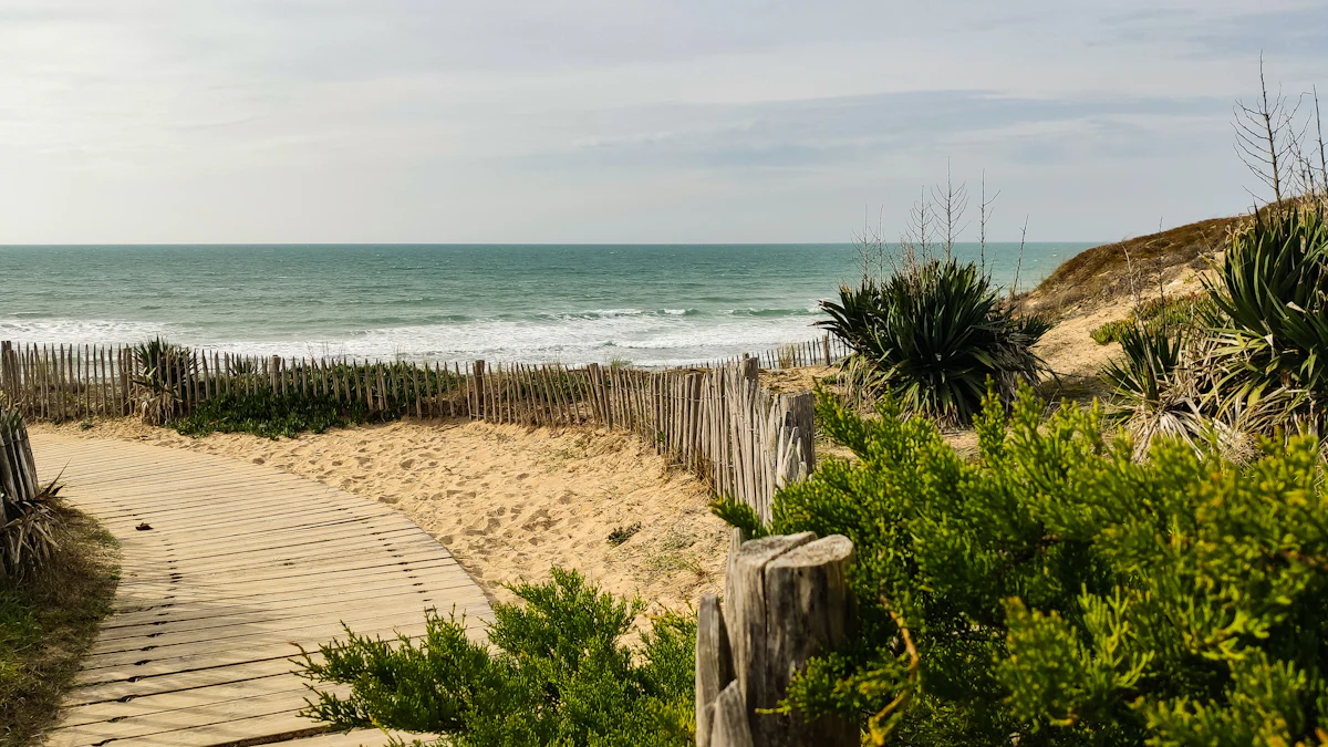 Chemin vers la plage sur l’Île de Ré