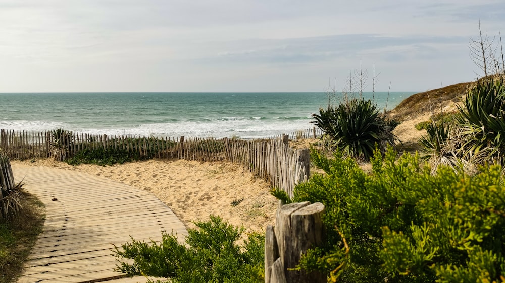 a path leading to the beach leading to the ocean