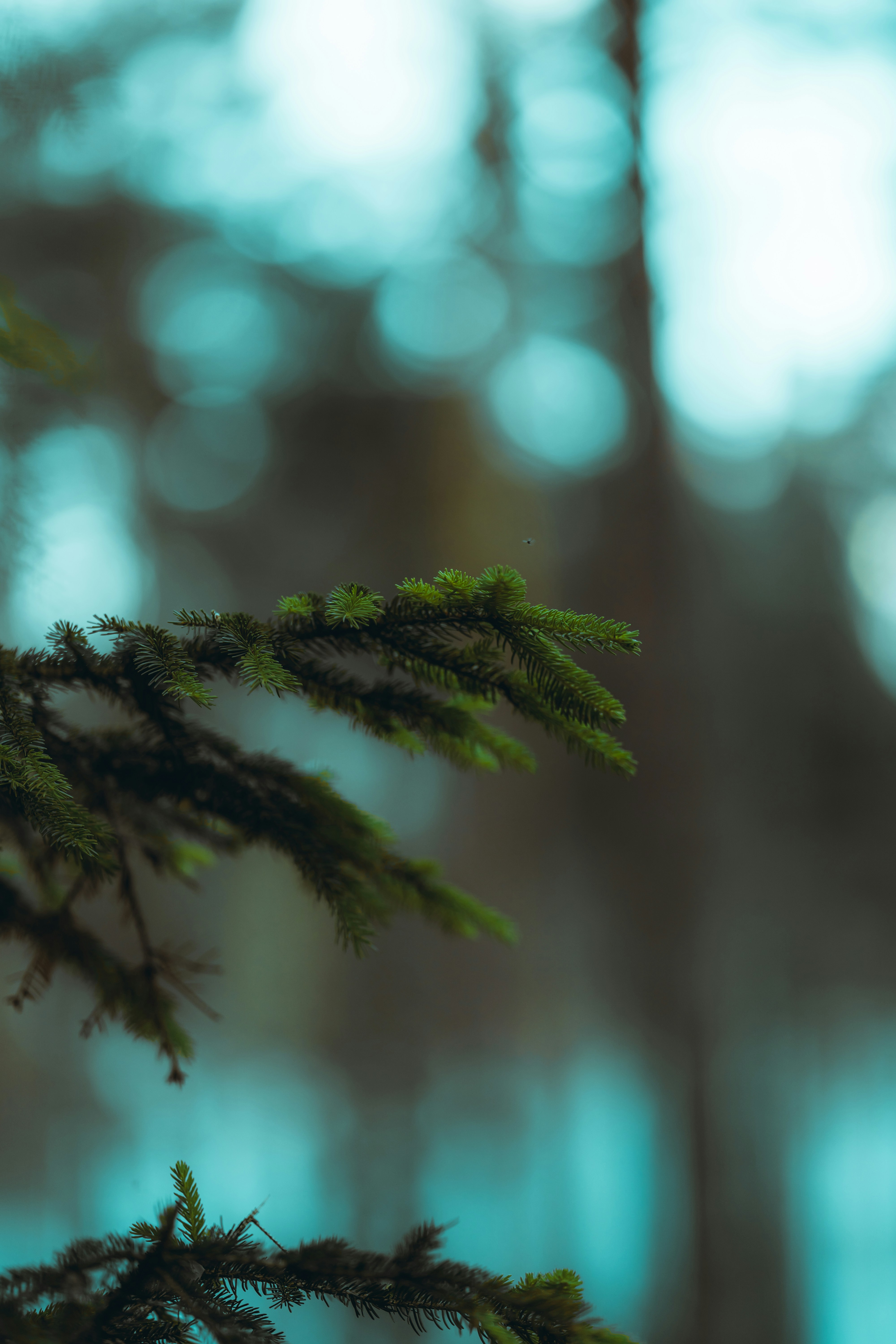 Photo by omarvellous14