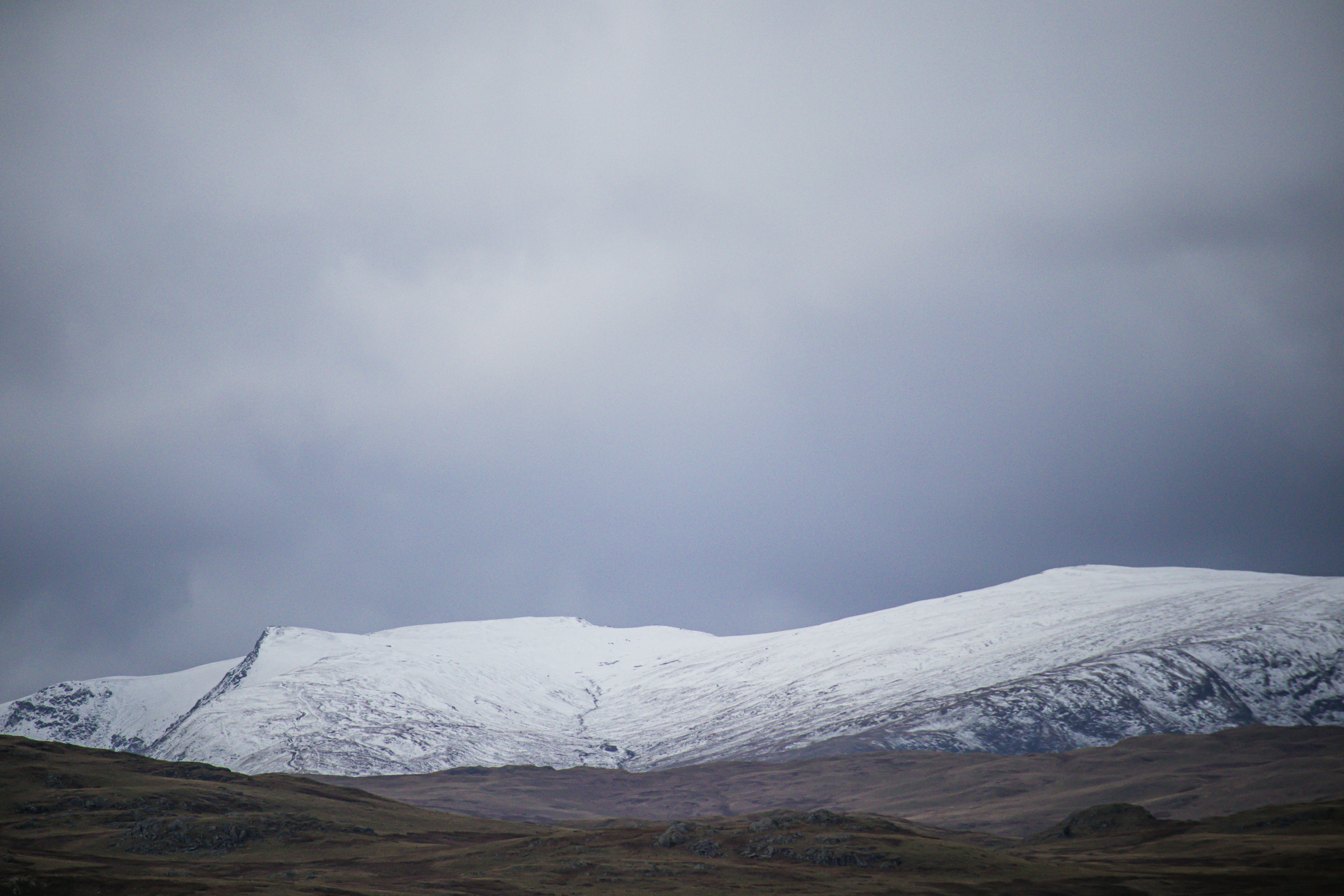 Photo by matchaforest