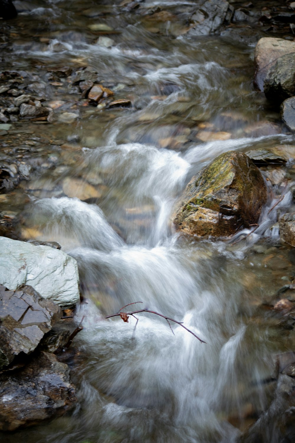 um fluxo de água que corre sobre rochas em uma floresta