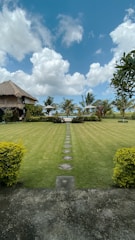 a lush green field with a path leading to a house