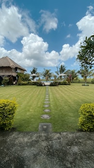 a lush green field with a path leading to a house