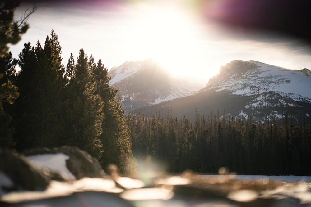 the sun shines through the trees in the mountains