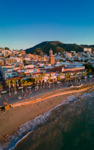 an aerial view of a beach with a city in the background