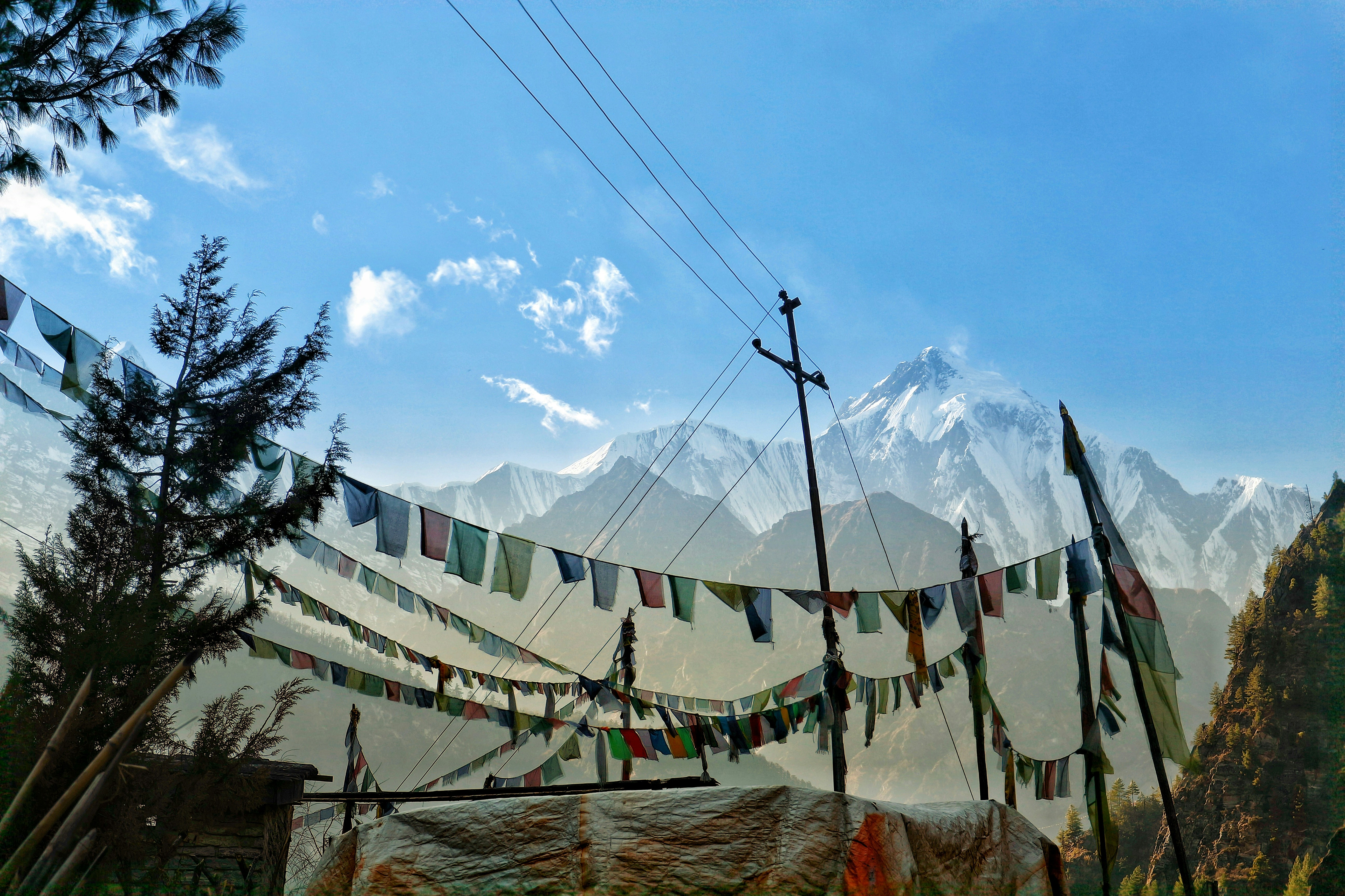 Photo by jandira_sonnendeck