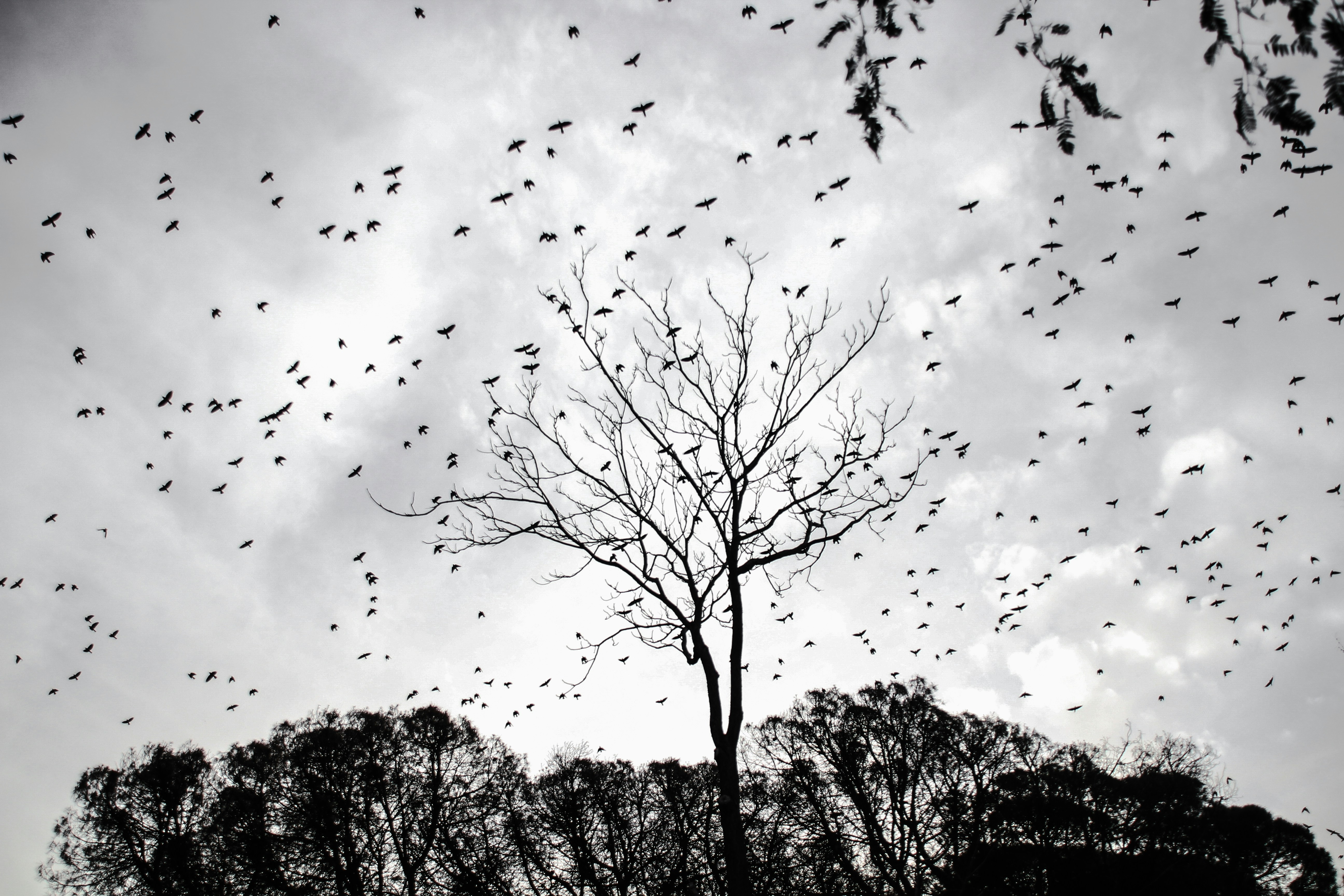 Photo by yigitarisoy