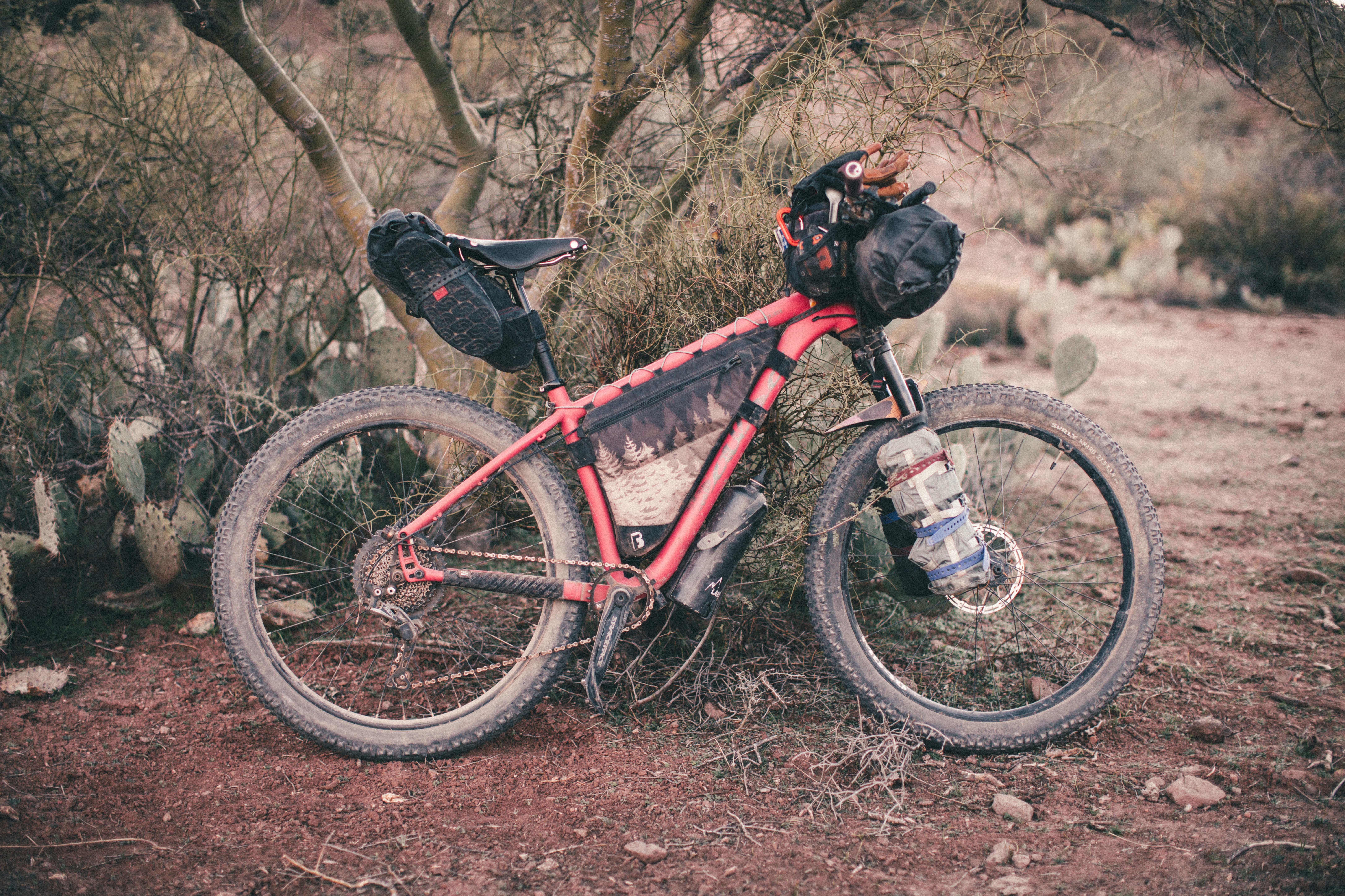 Photo by worldsbetweenlines