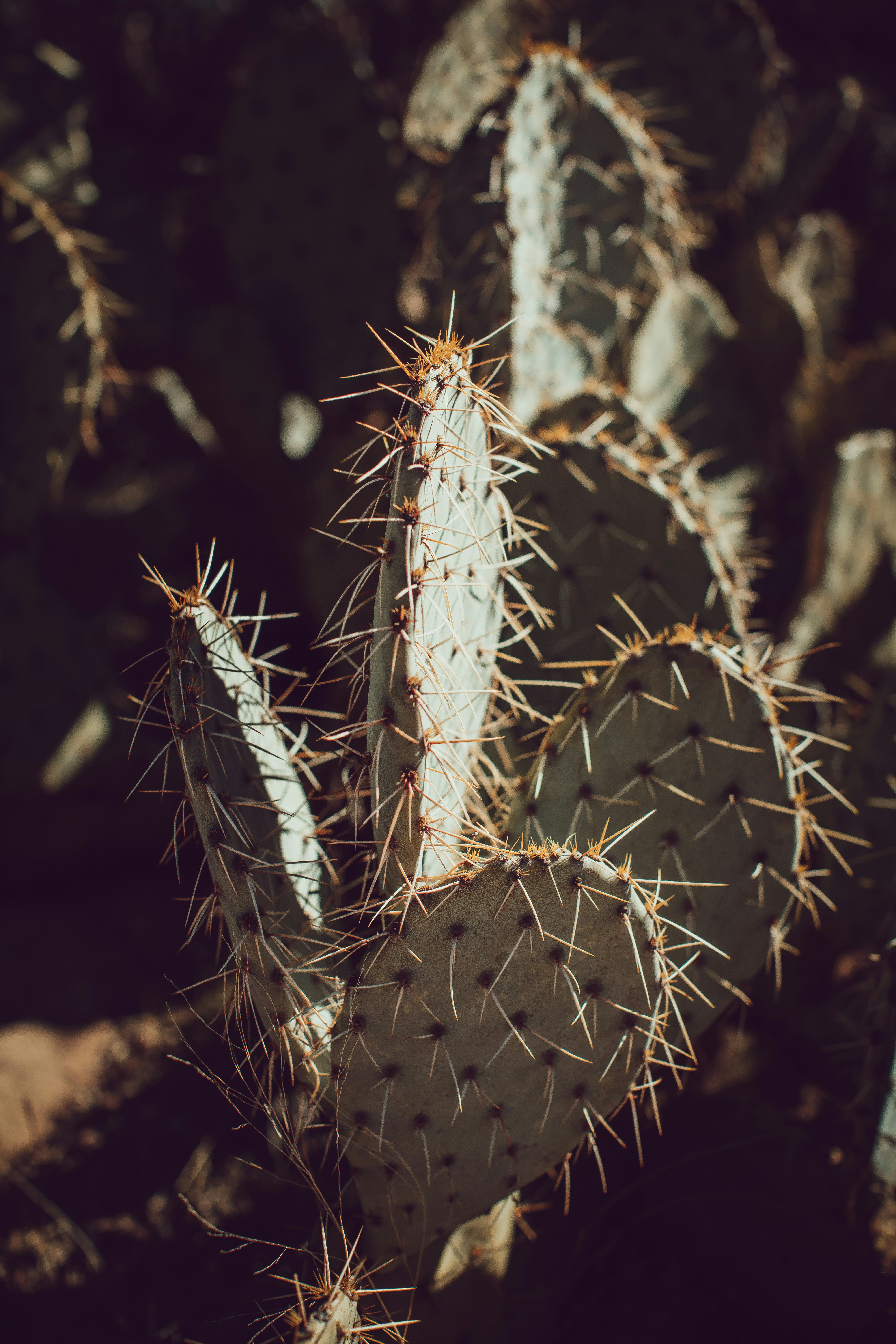 Photo by worldsbetweenlines