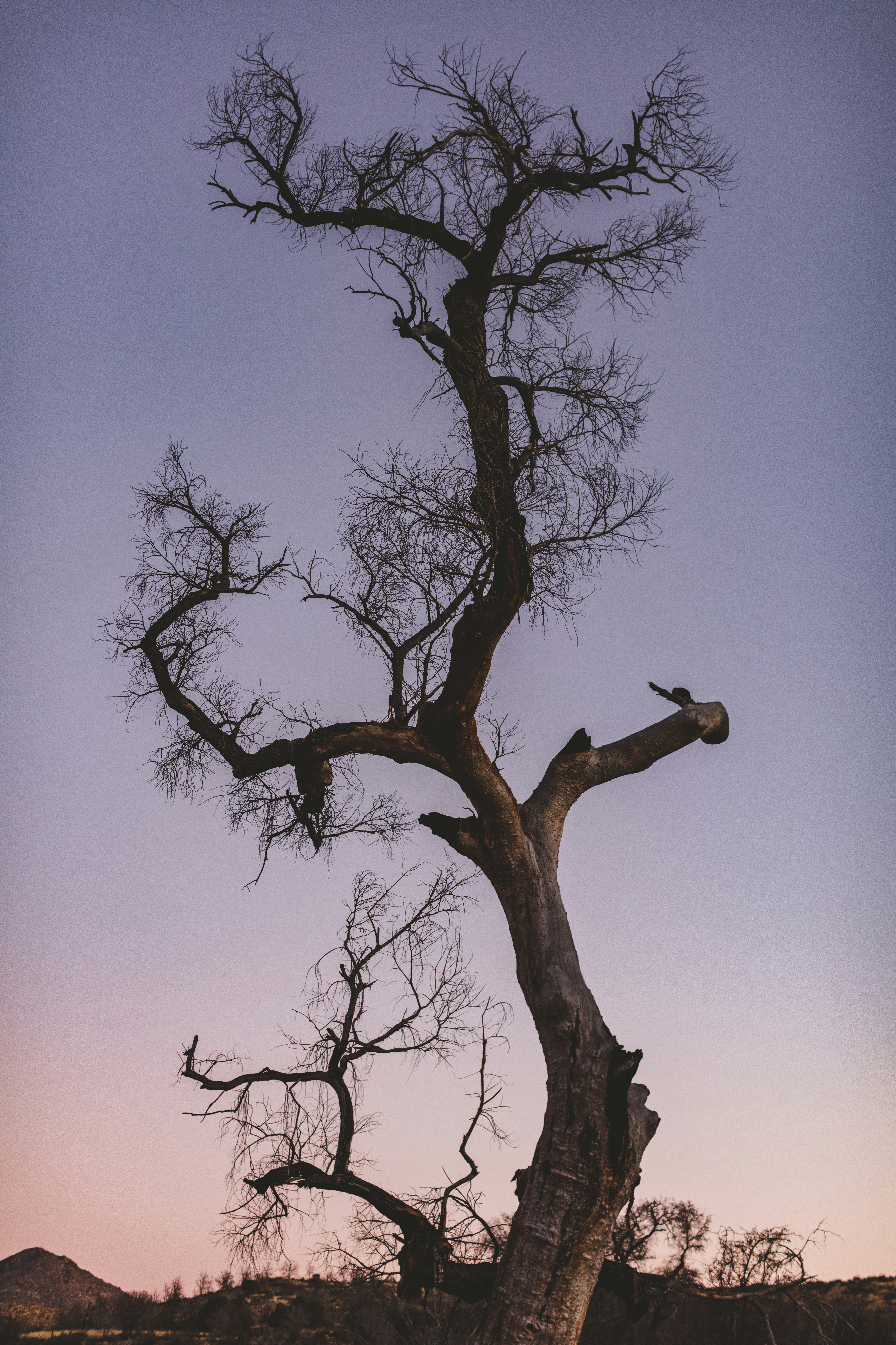 Photo by worldsbetweenlines