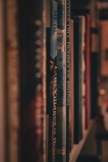 a row of books sitting on top of a book shelf