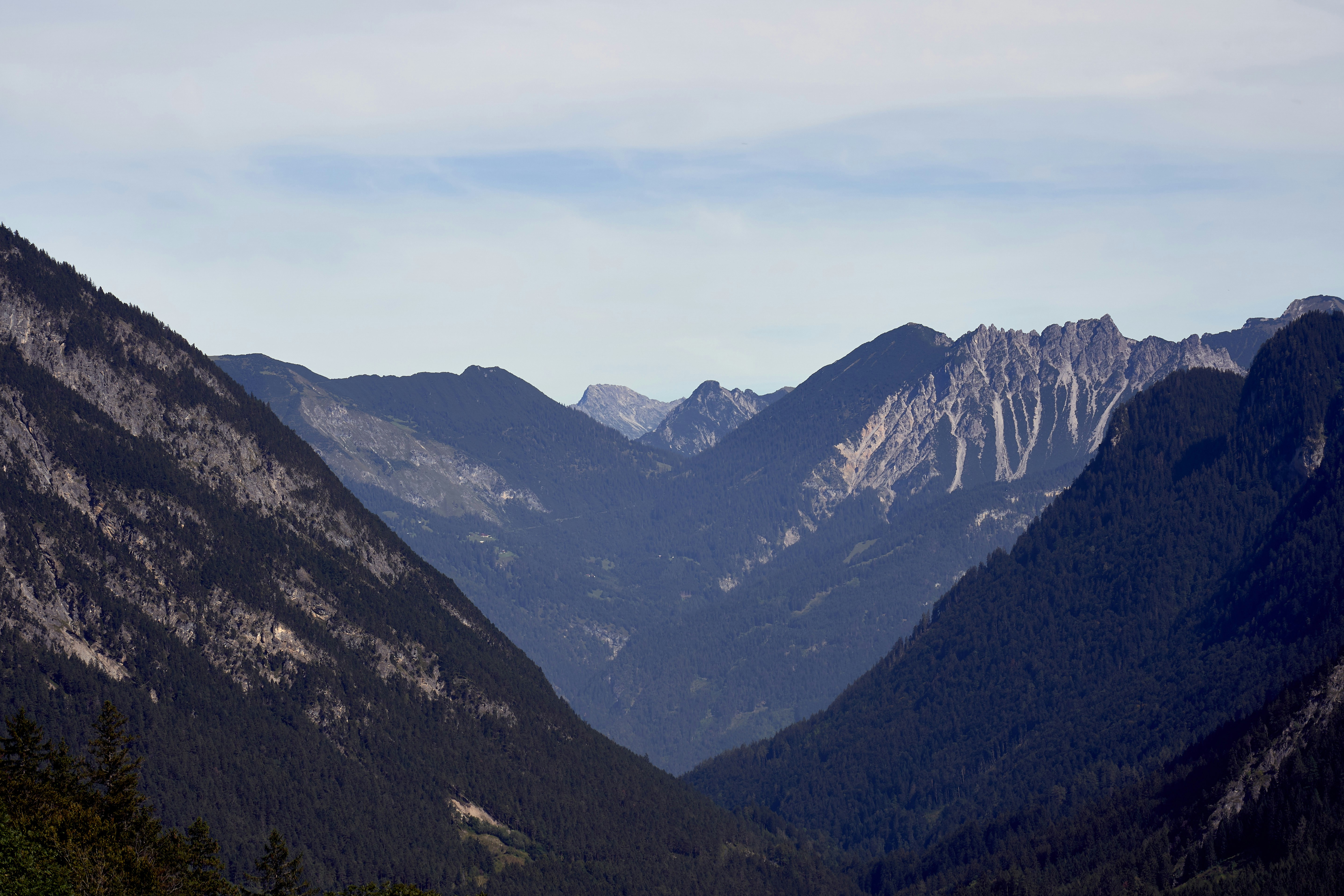 Photo by wolfgang_hasselmann