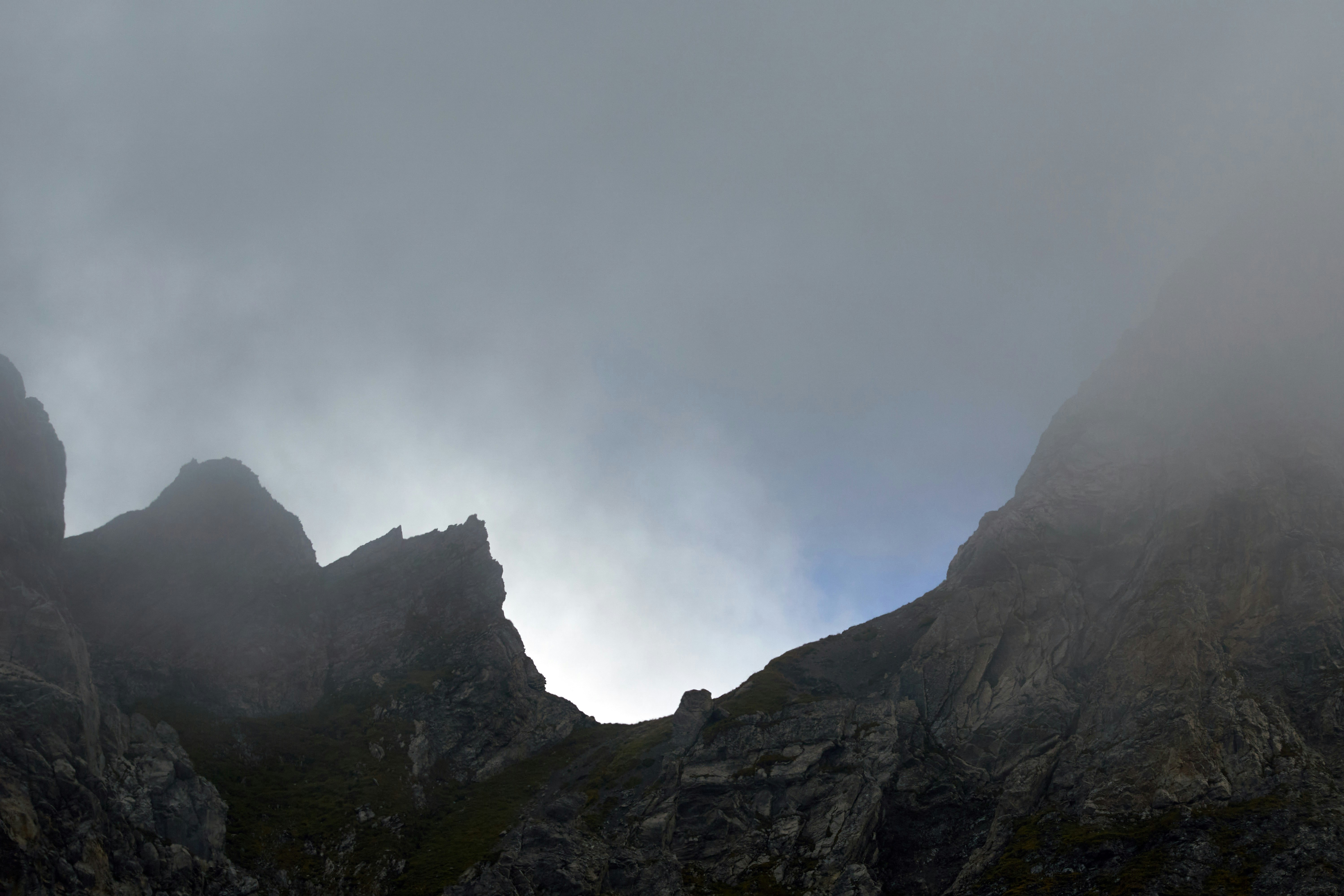 Photo by wolfgang_hasselmann