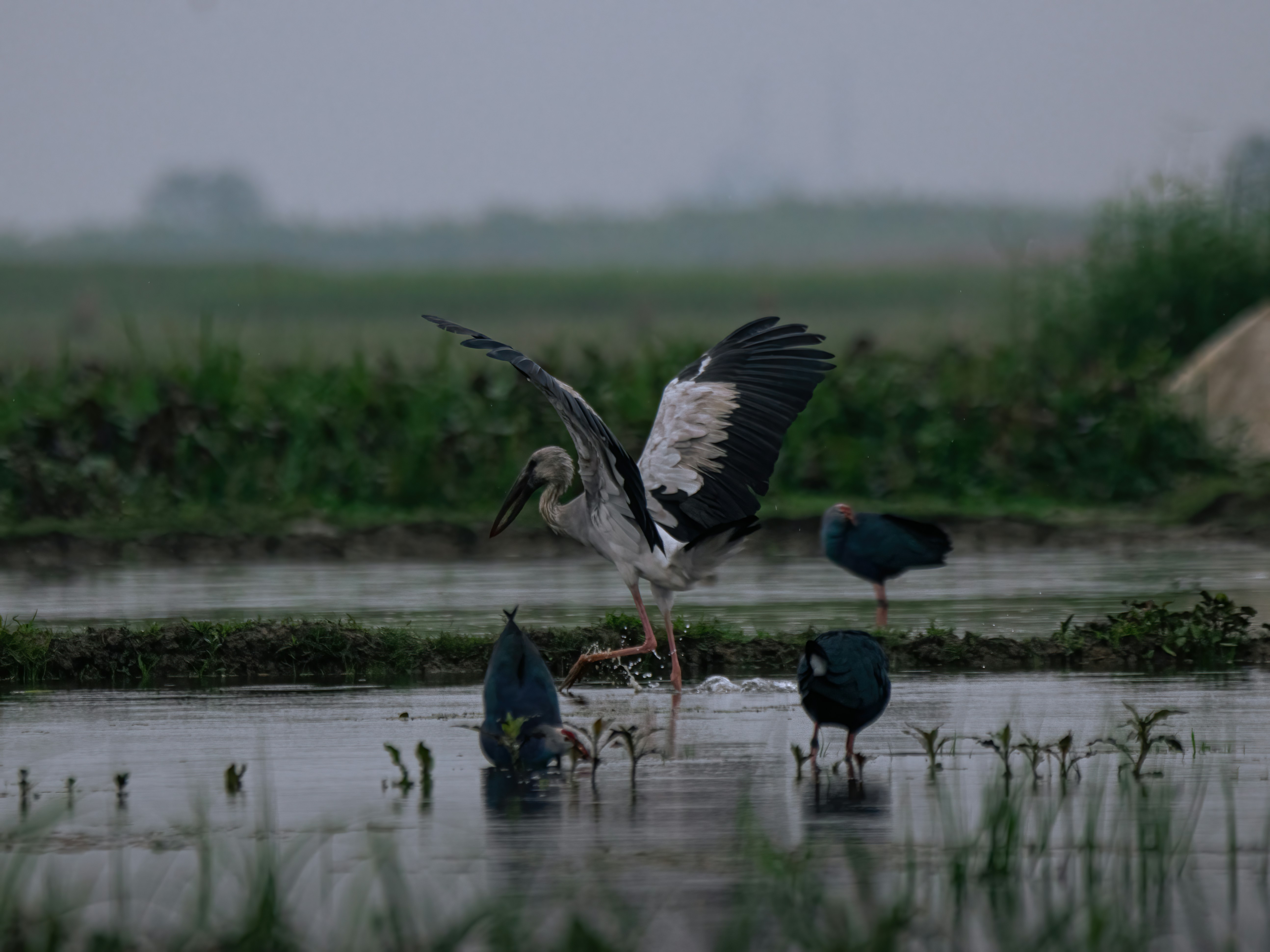 Photo by arnab_dey_photography
