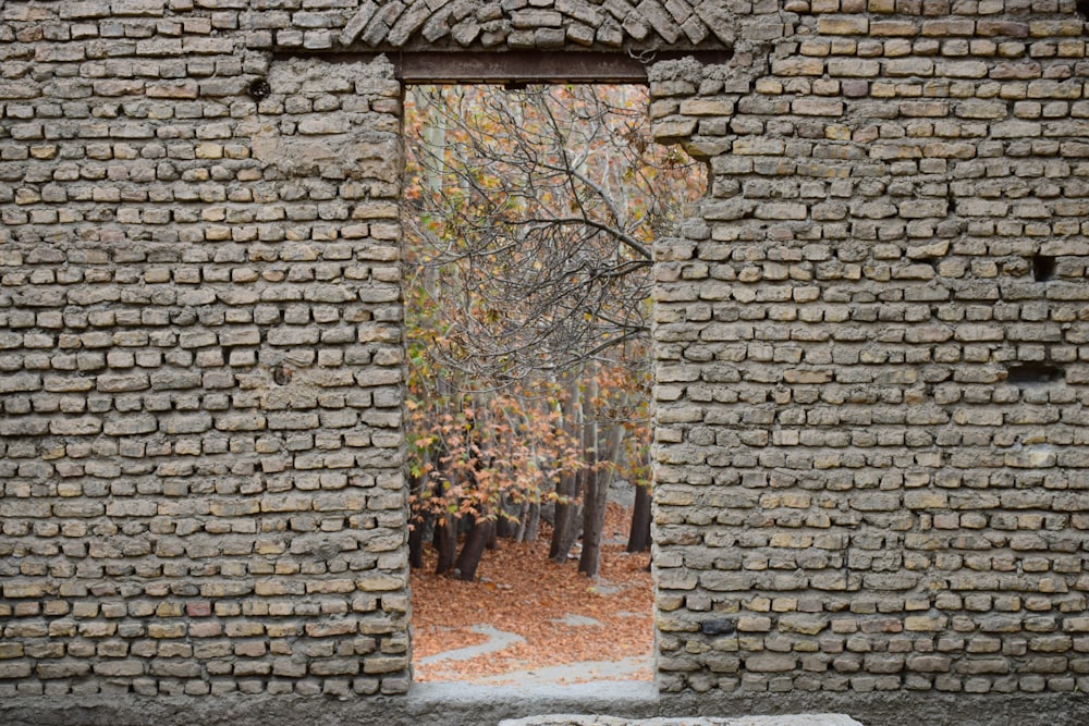 a brick wall with an open door and a picture of a tree