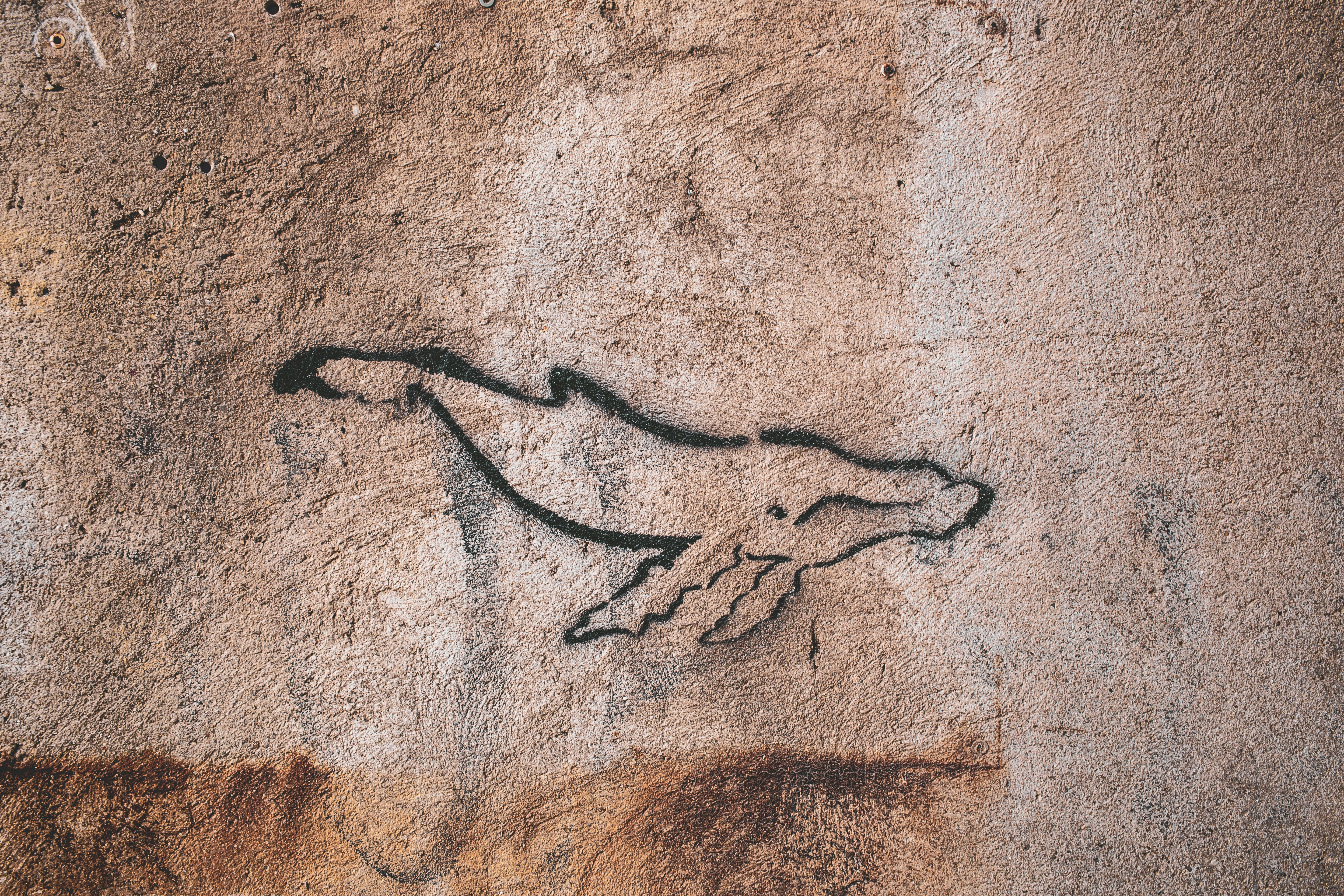 a drawing of a horse on a wall