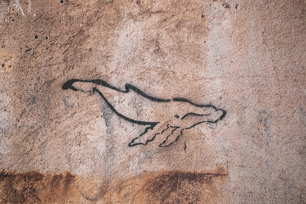 a drawing of a horse on a wall