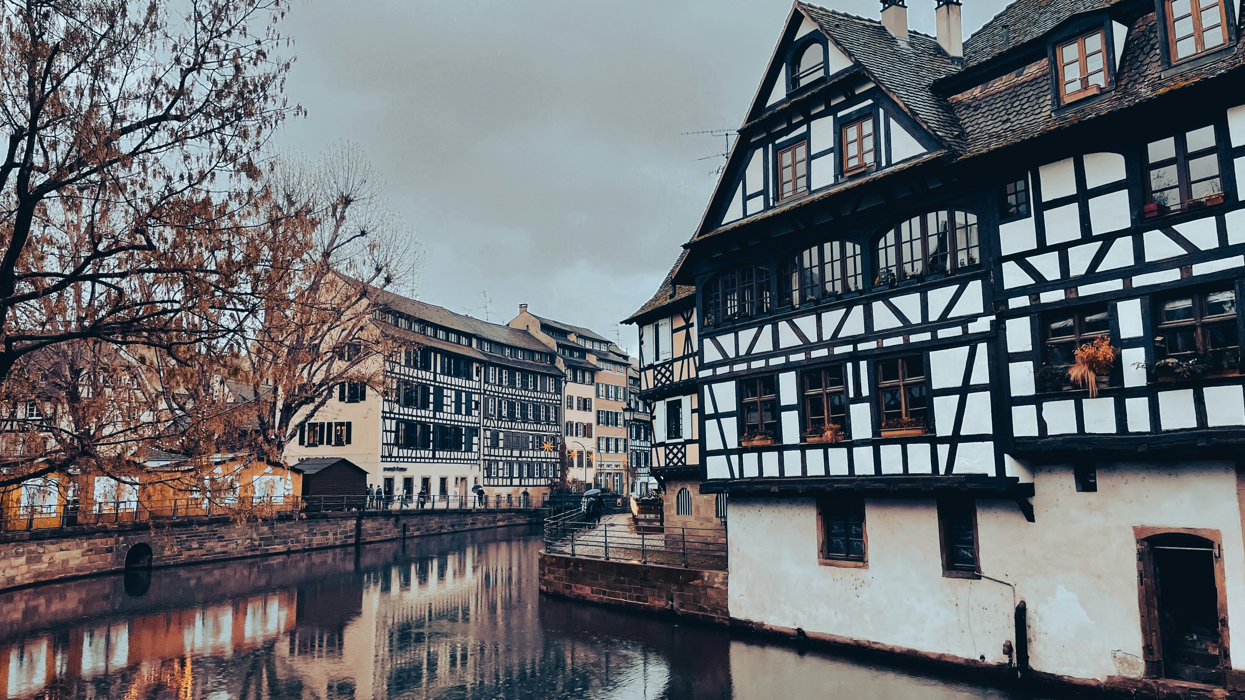 Image by Jametlene Reskp via Unsplash