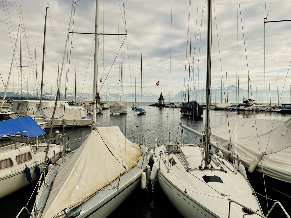 a group of sailboats docked in a harbor