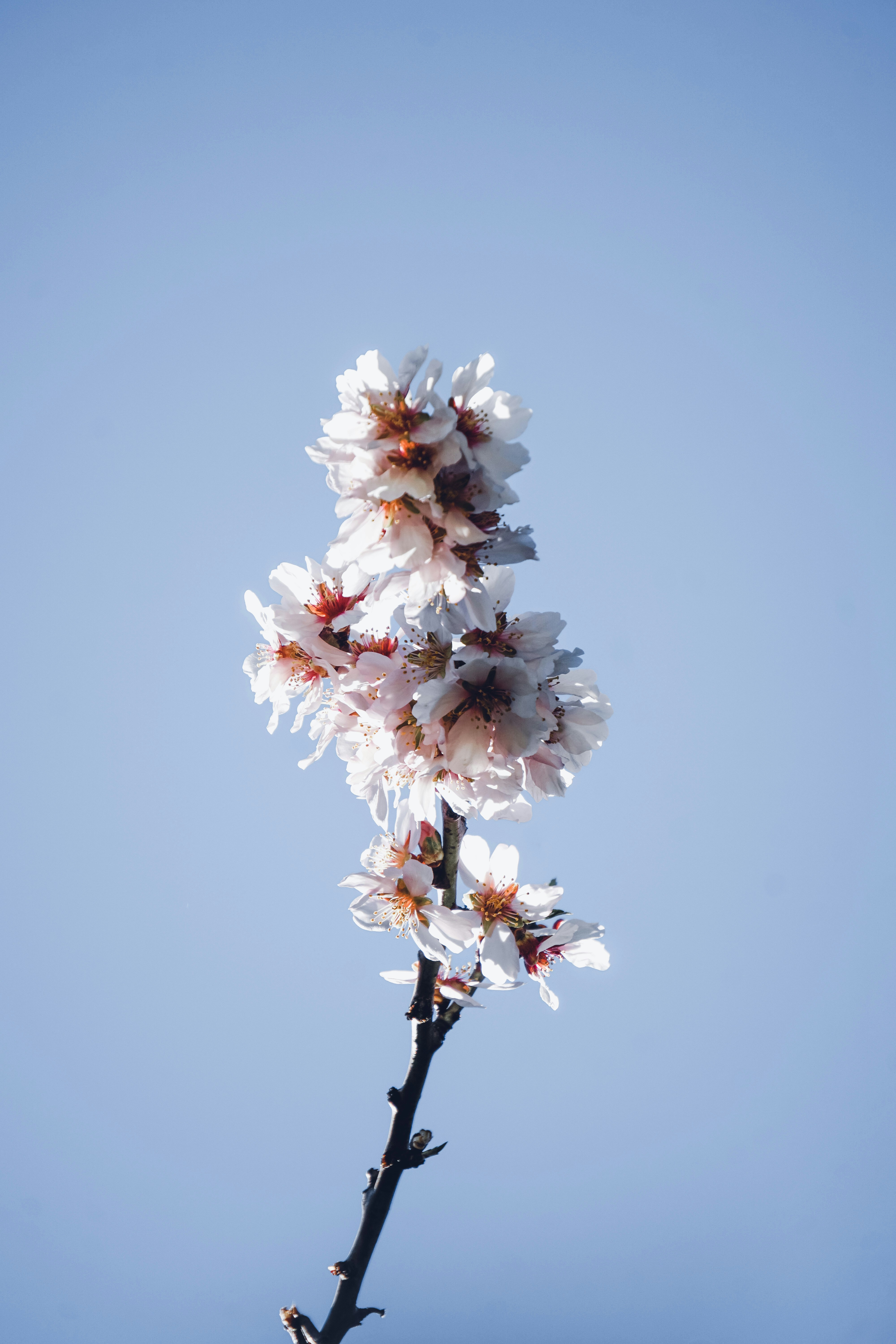 Photo by ja_domenech