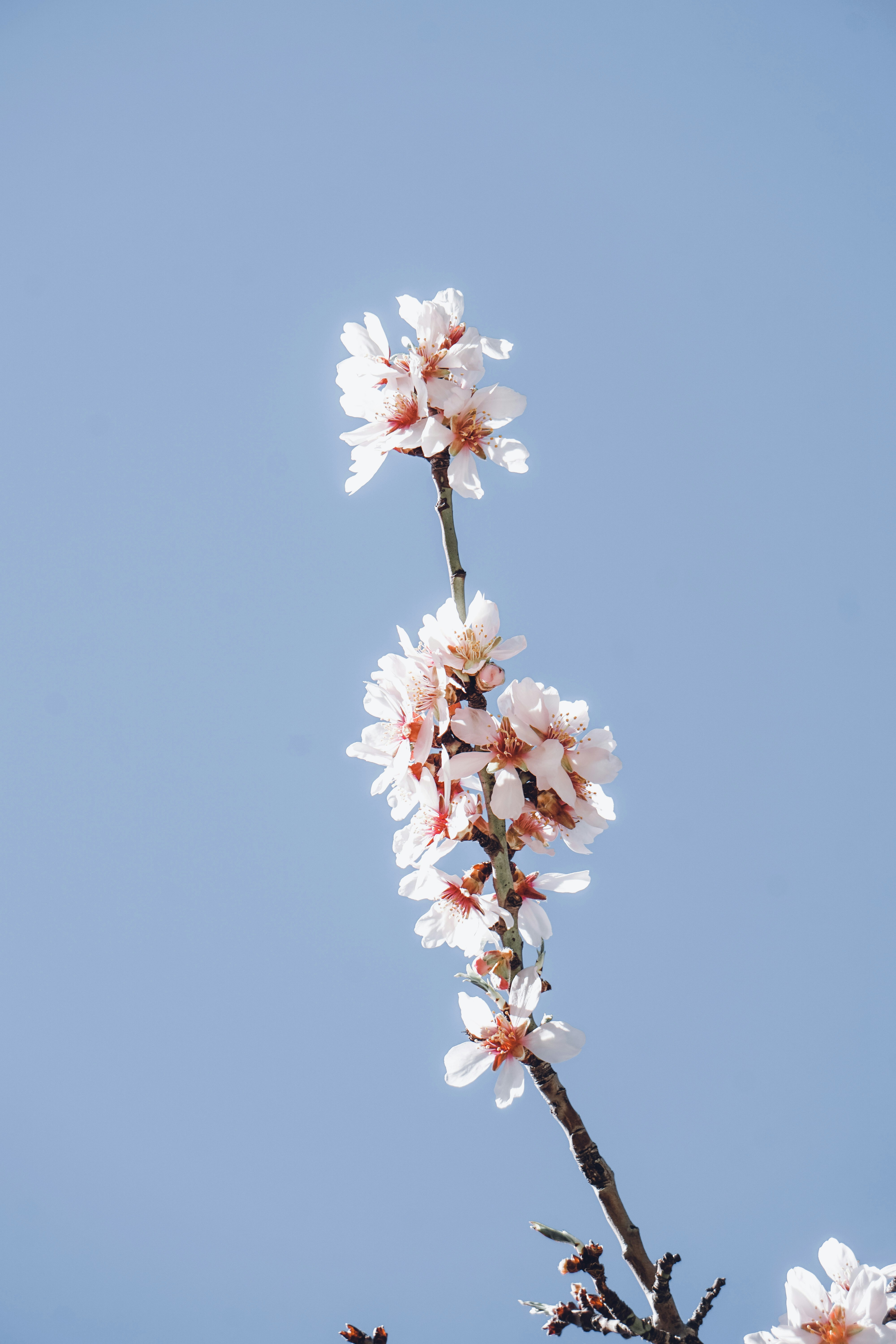 Photo by ja_domenech