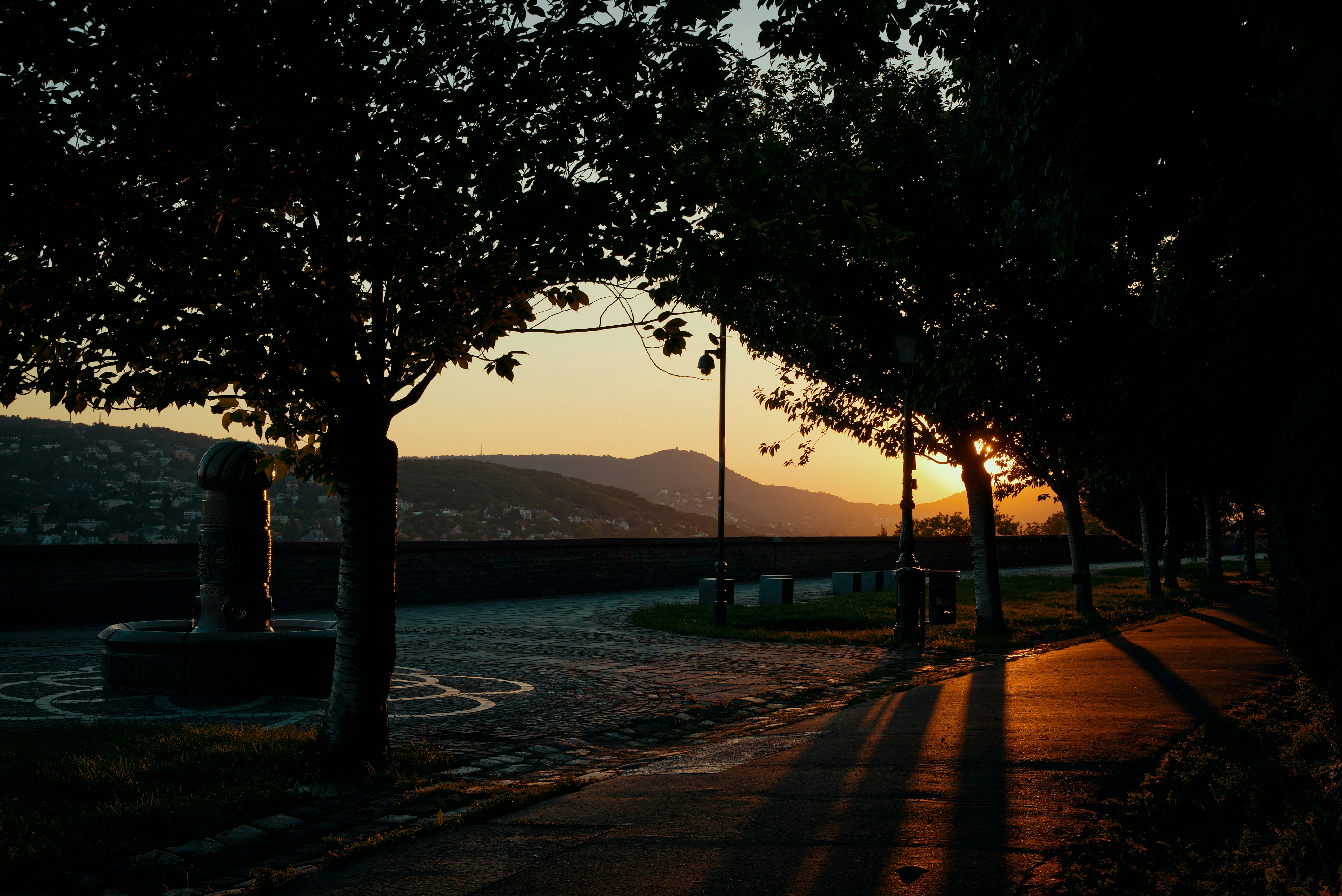 Photo by gebgramm